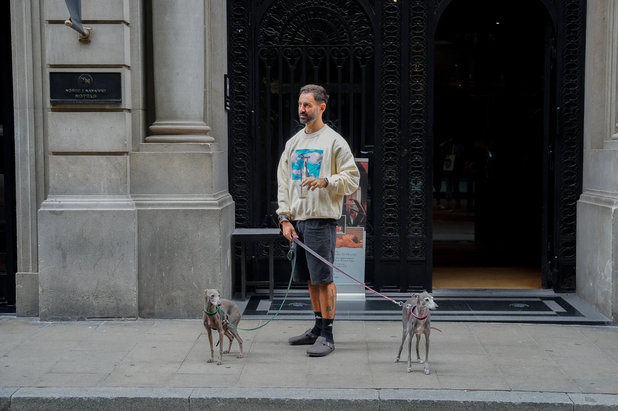Italian Greyhounds, dog dad, sweatshirt