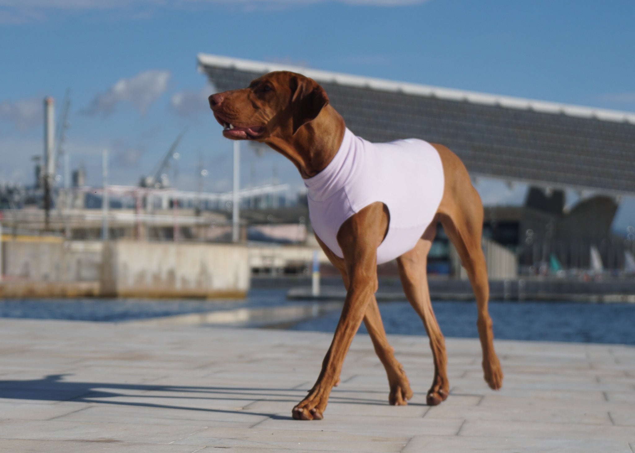 Transitional Outerwear