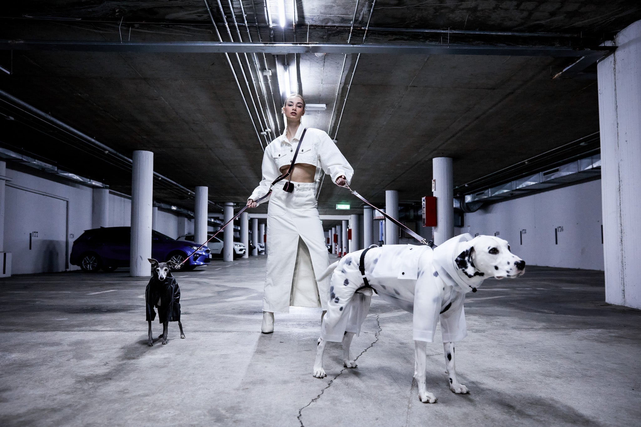 Lightweight Protections