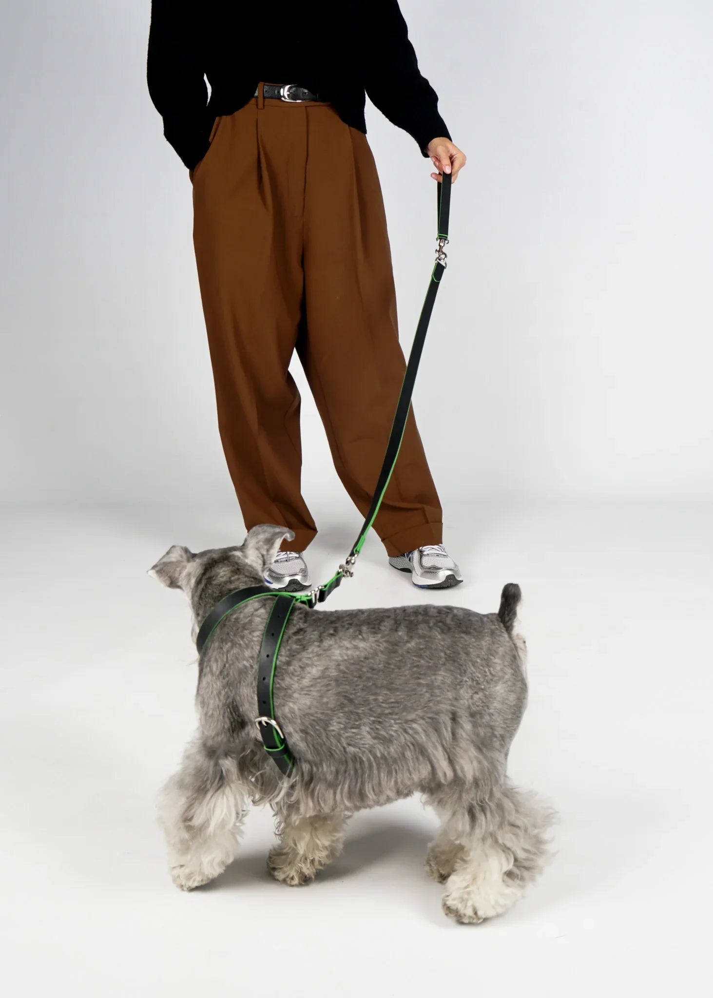 MILO Dog Leash with Green Trim