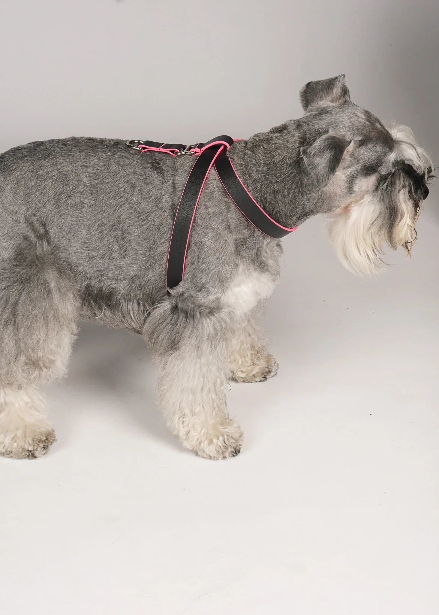 MILO Dog Harness with Raspberry Trim