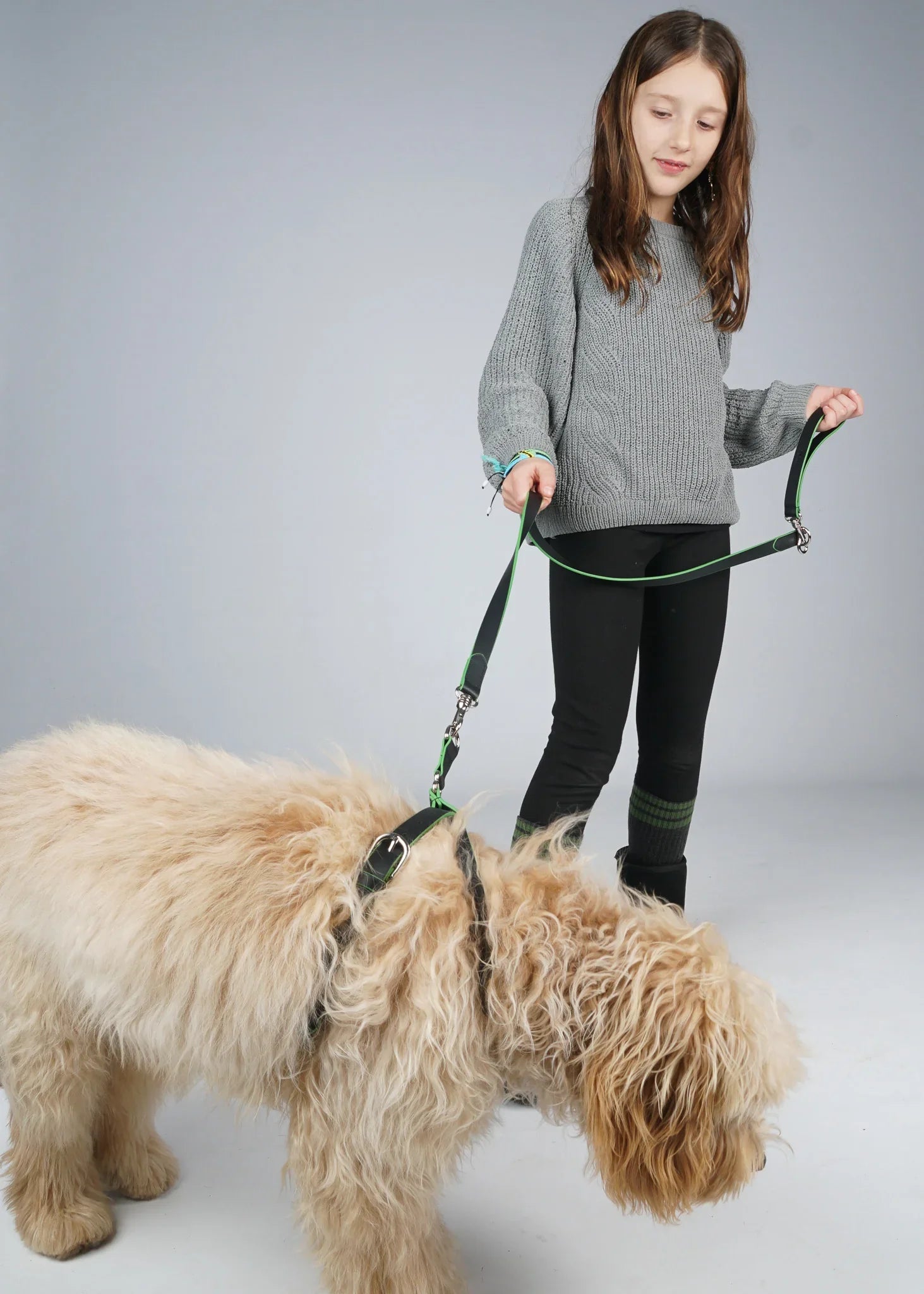 MILO Dog Harness with Green Trim