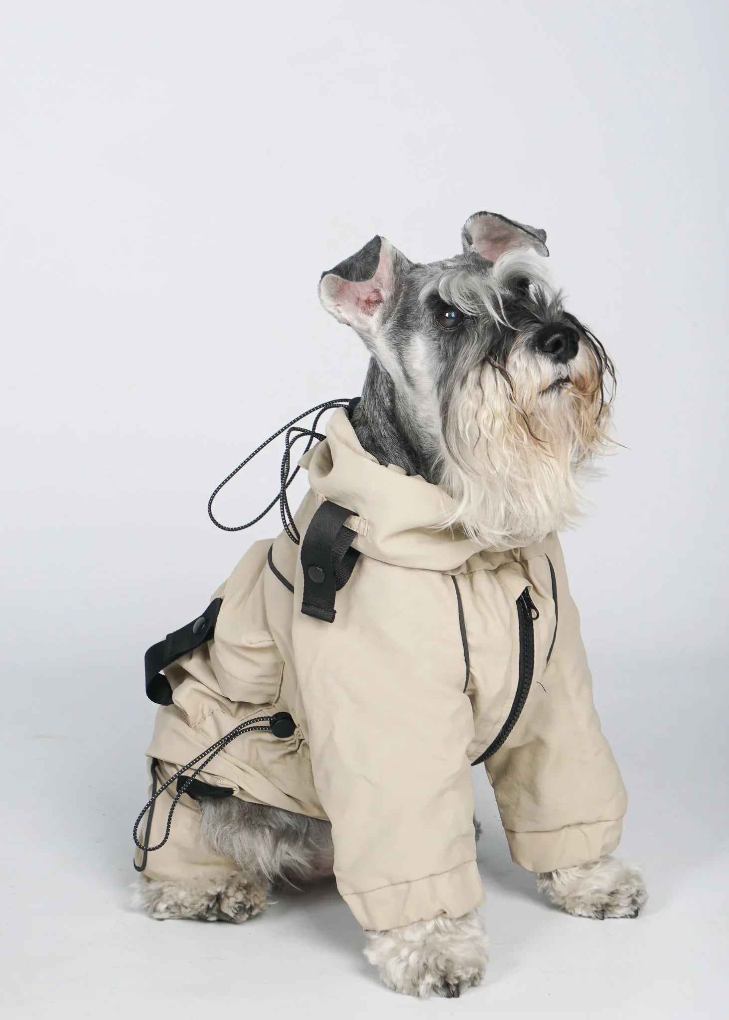 FETCH Detachable Dog Windbreaker