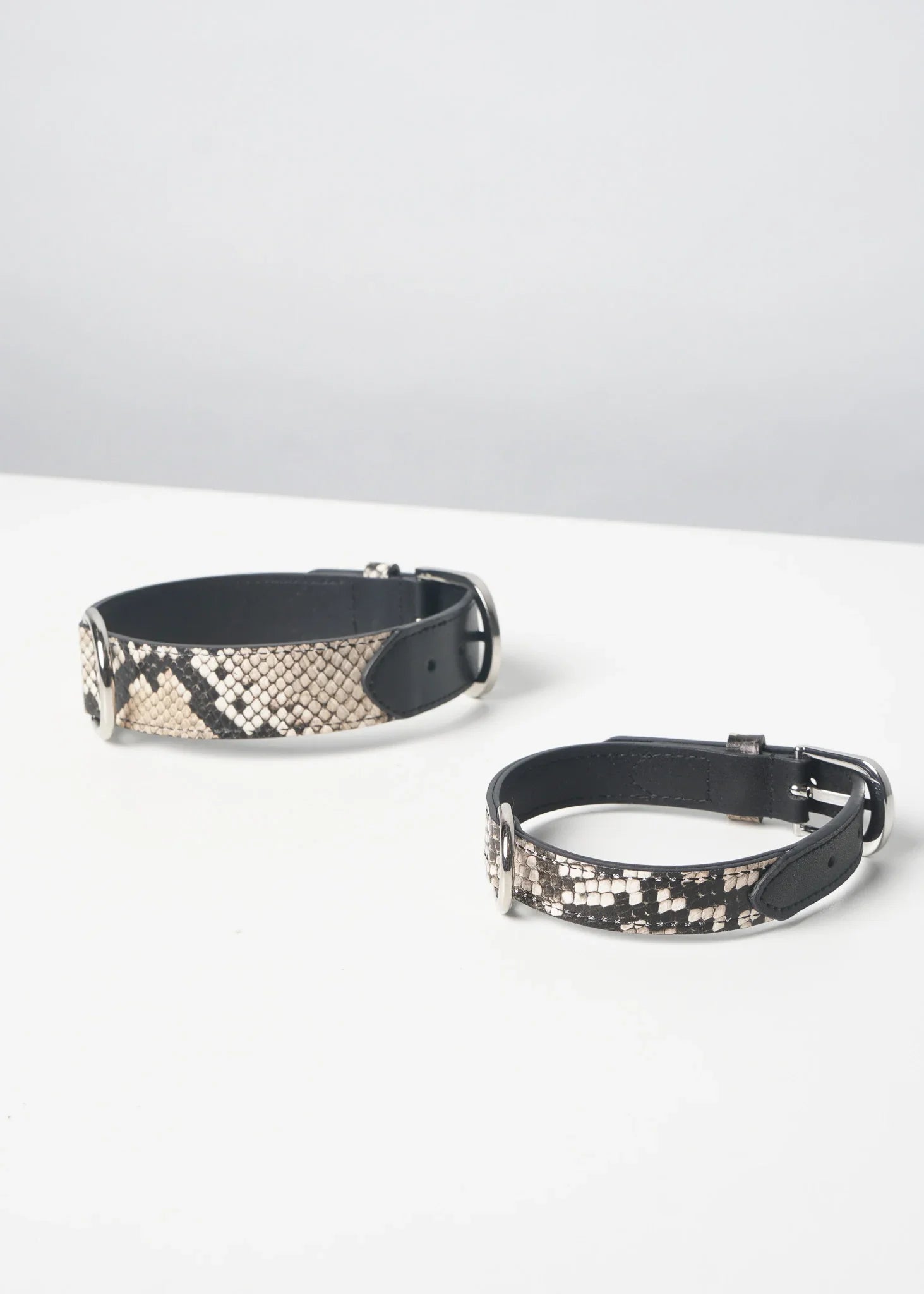 NOIR Dog Collar