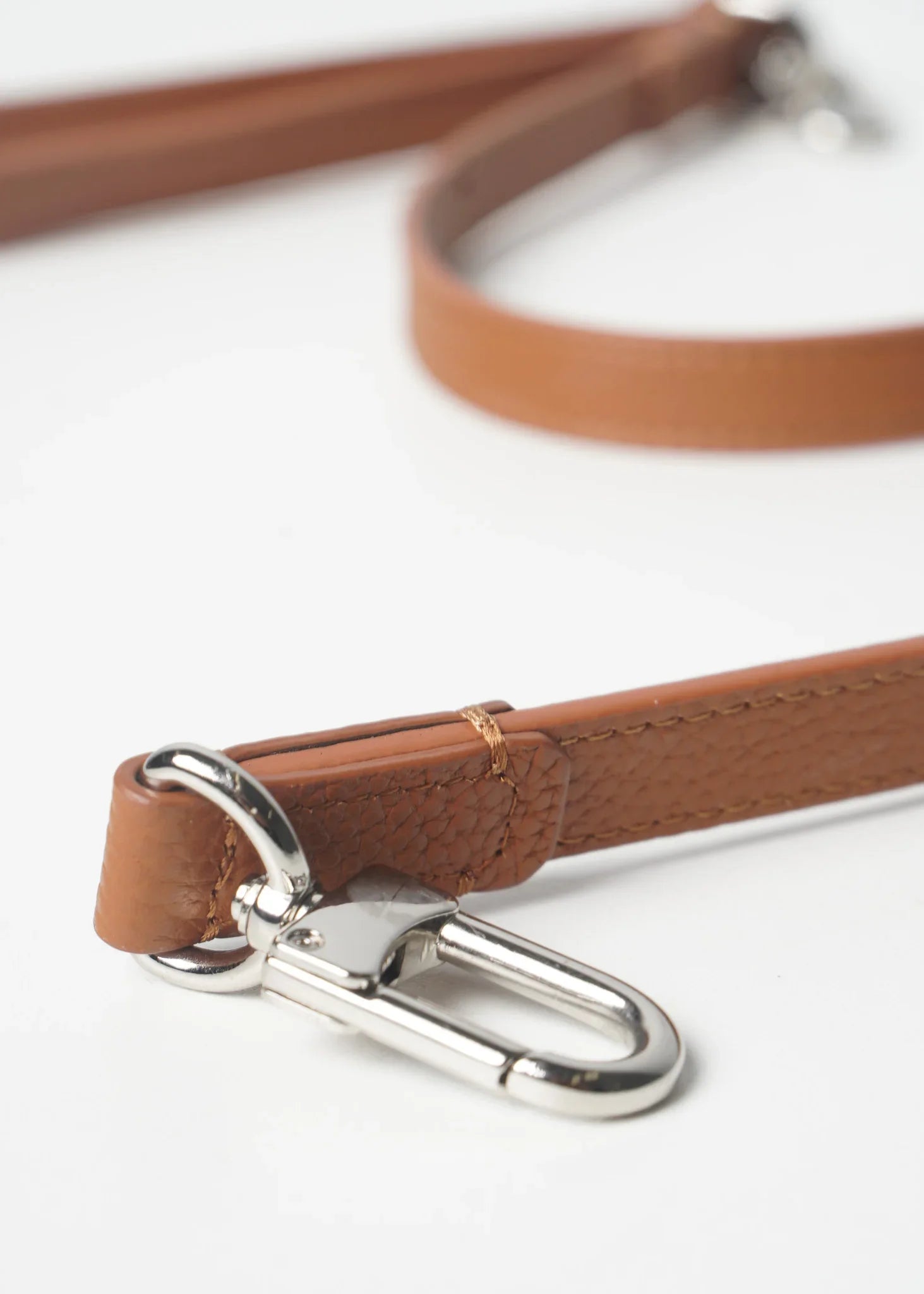 MANCHA Dog Leash