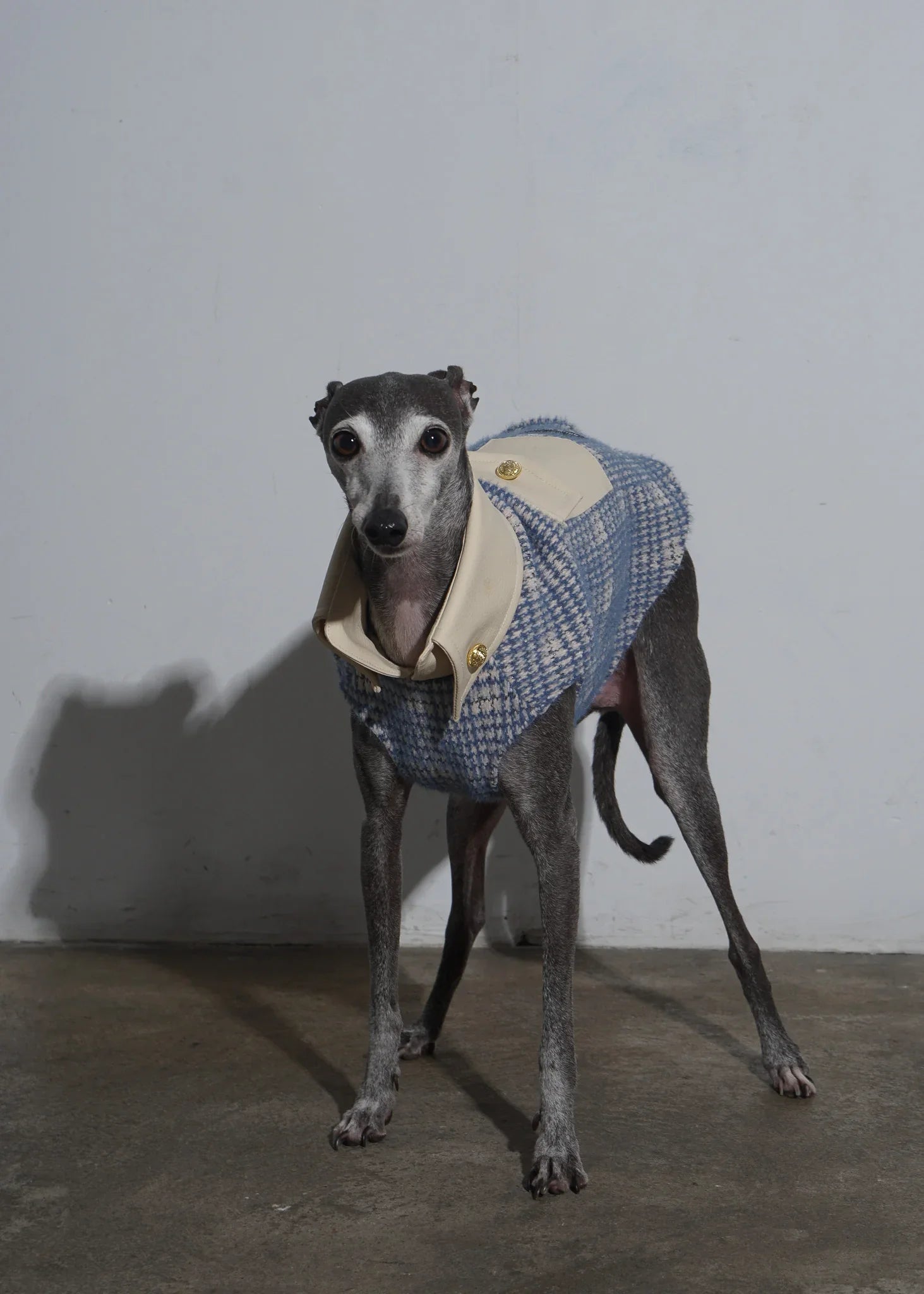 DANNI Wool Blended Dog Knit Jumper