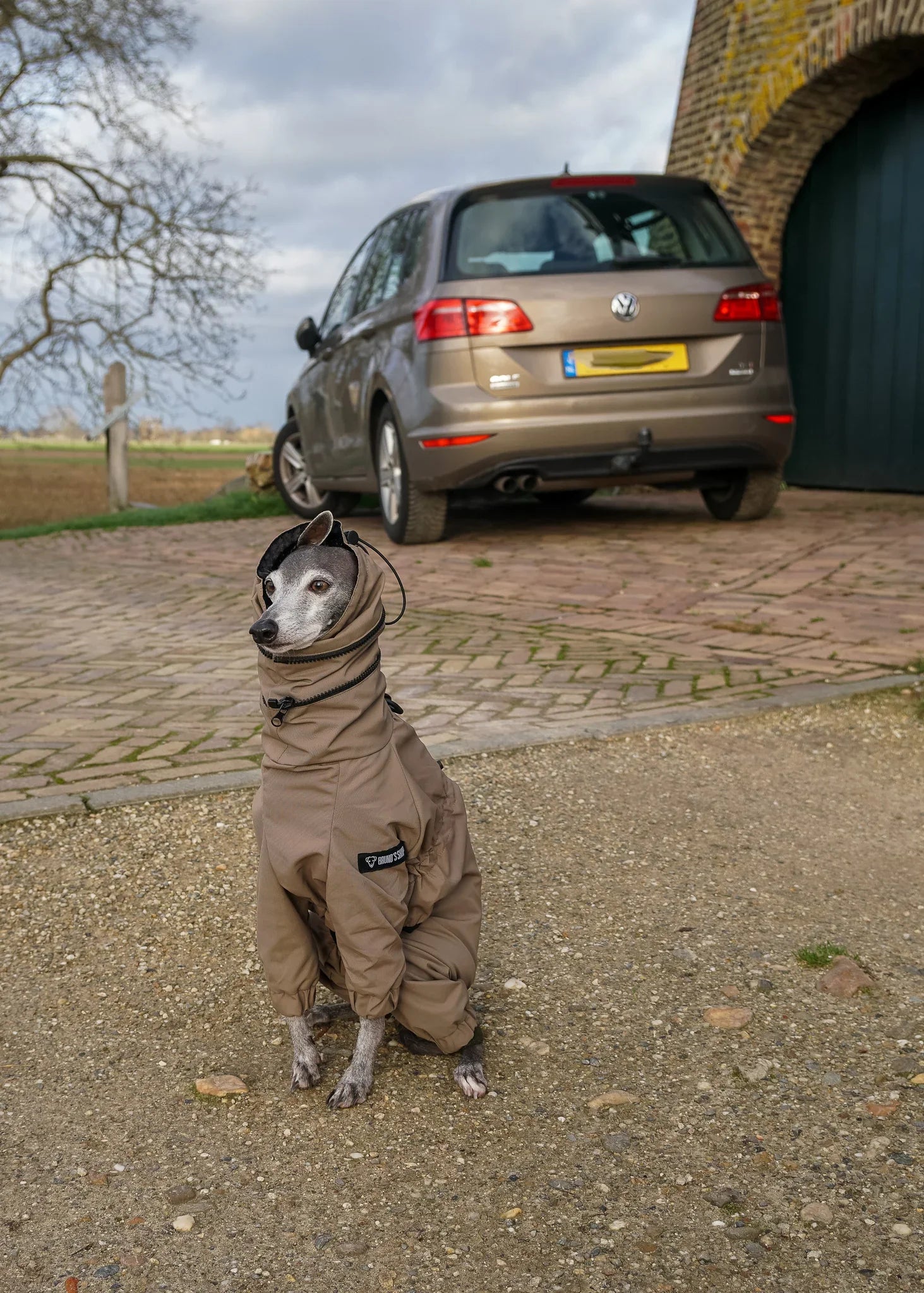 EL CAPITAN Iconic Dog Windbreaker - TAUPE