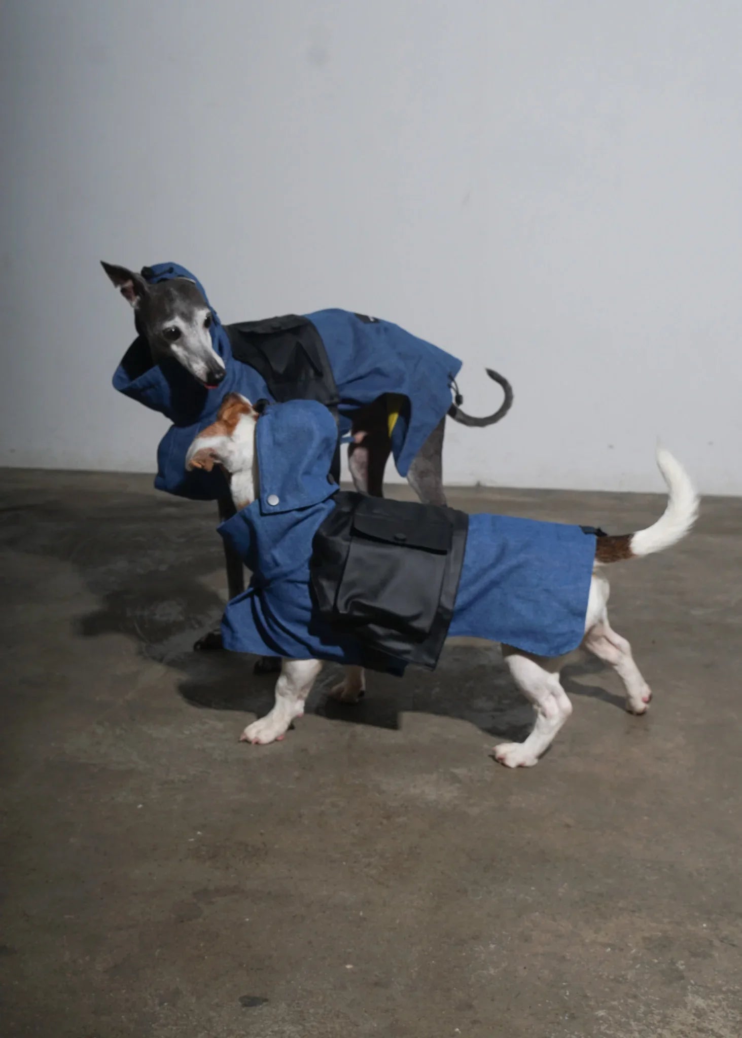 LORO Dog Denim Overcoat