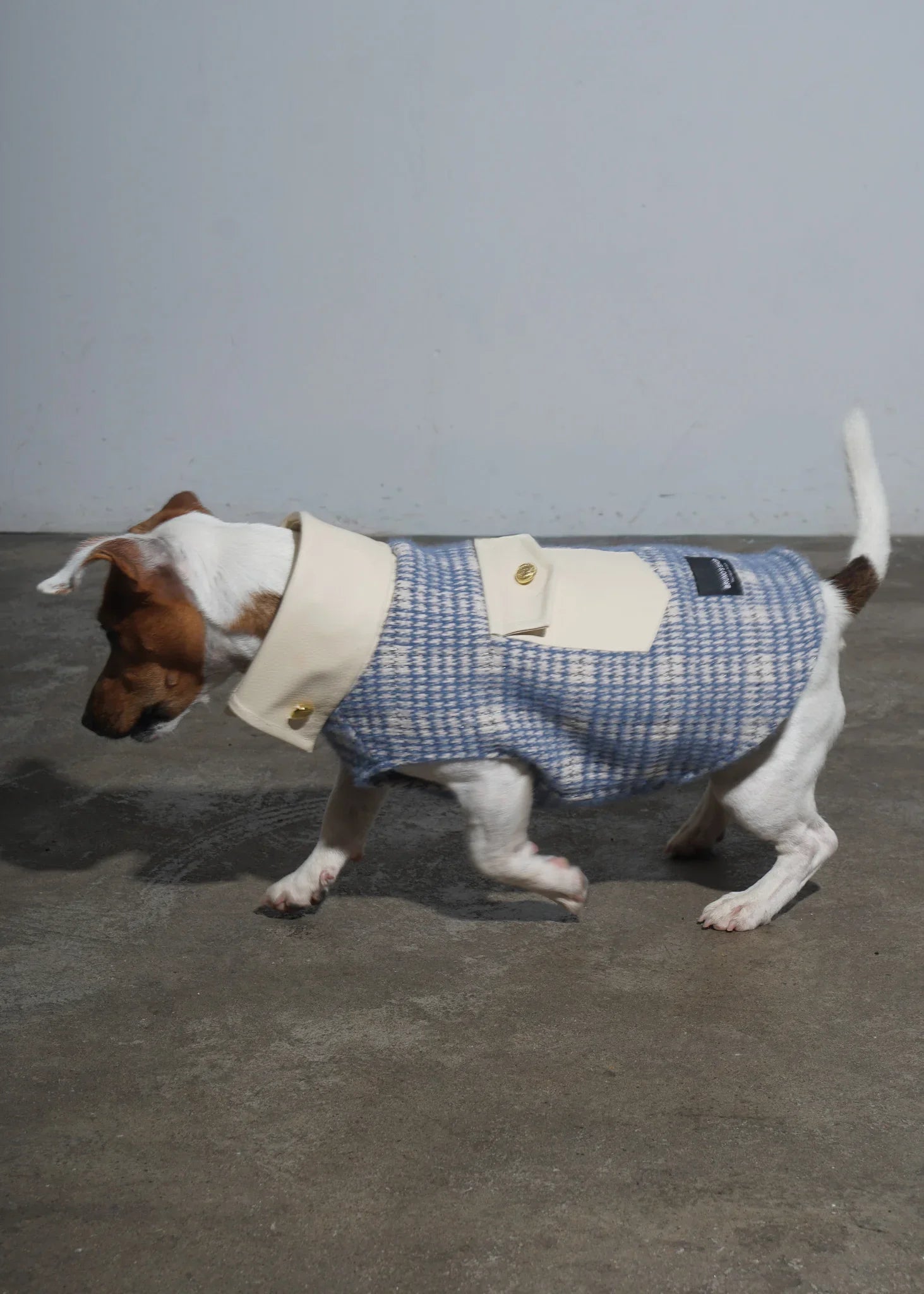 DANNI Wool Blended Dog Knit Jumper