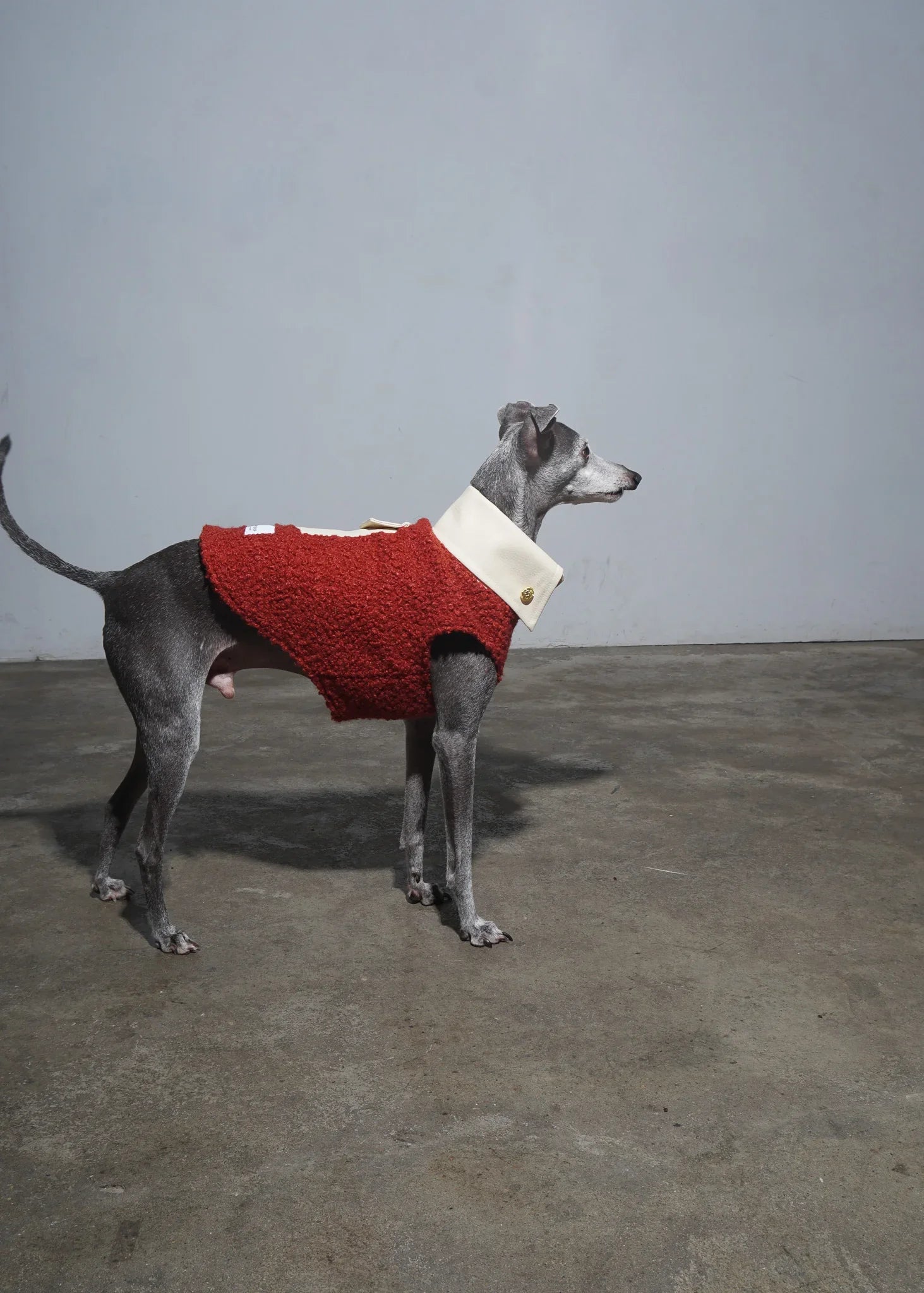 POPPY Bouclé Wool Dog Jumper