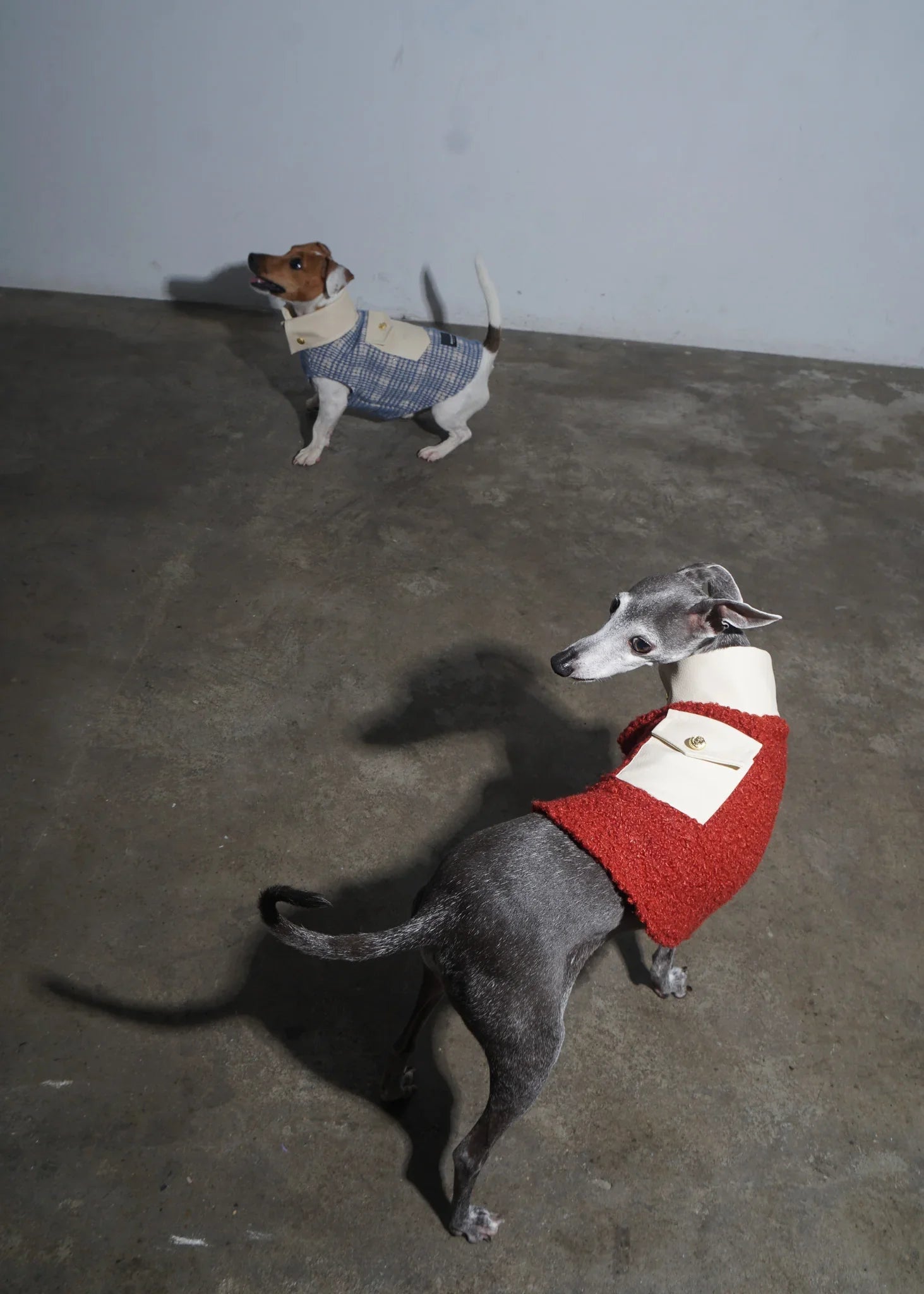 POPPY Bouclé Wool Dog Jumper