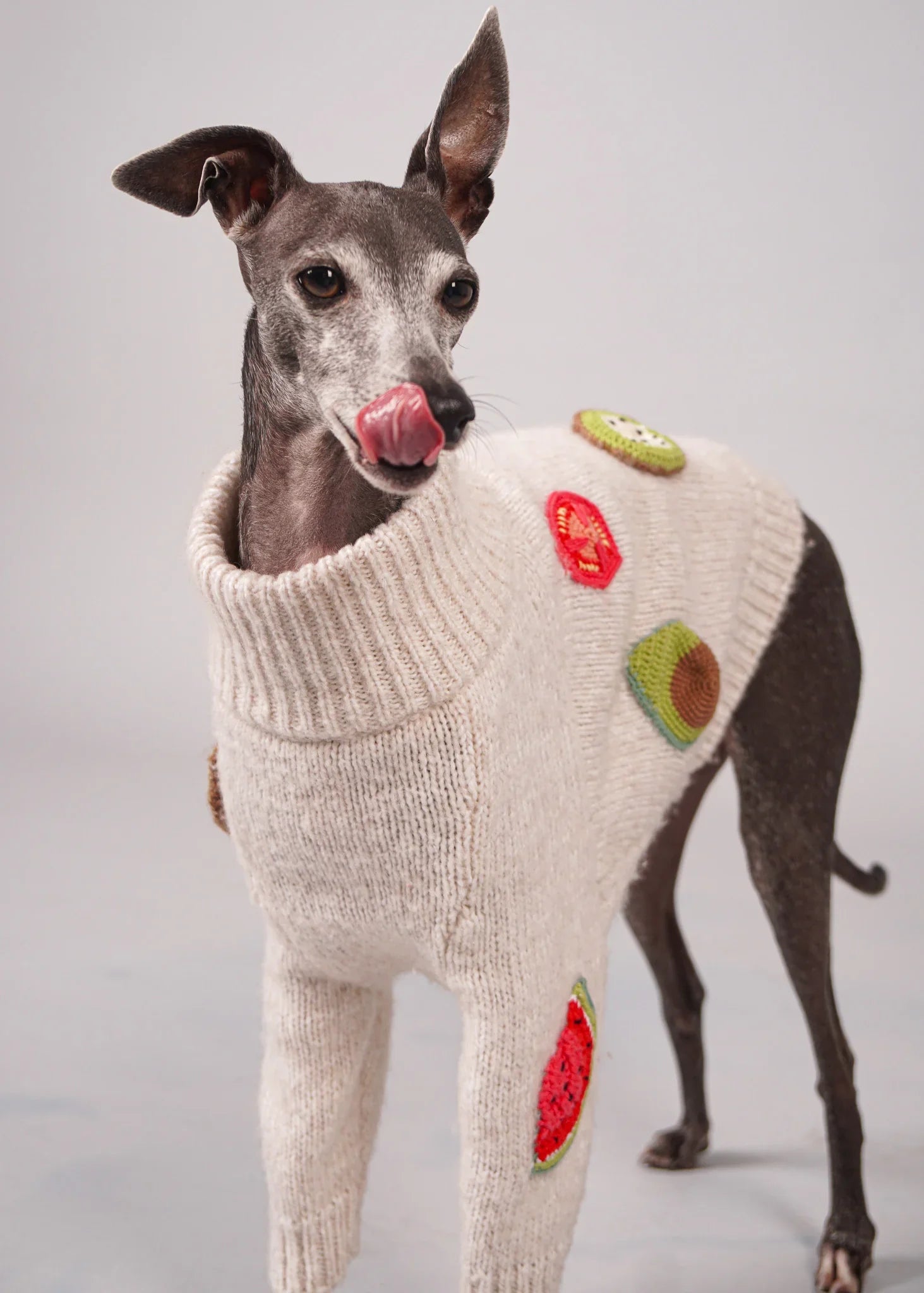 BEA Handmade Fruit Crochet Dog Jumper