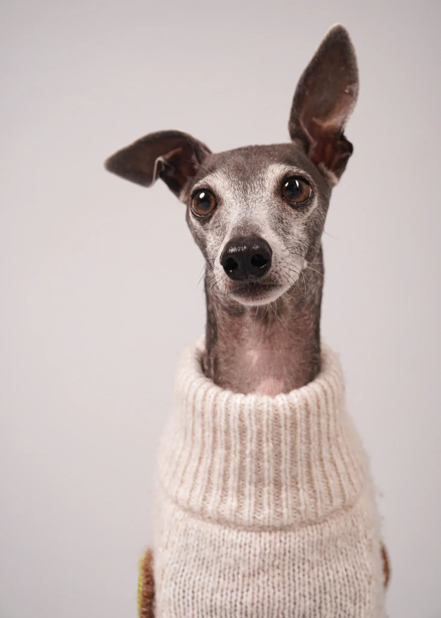 BEA Handmade Fruit Crochet Dog Jumper