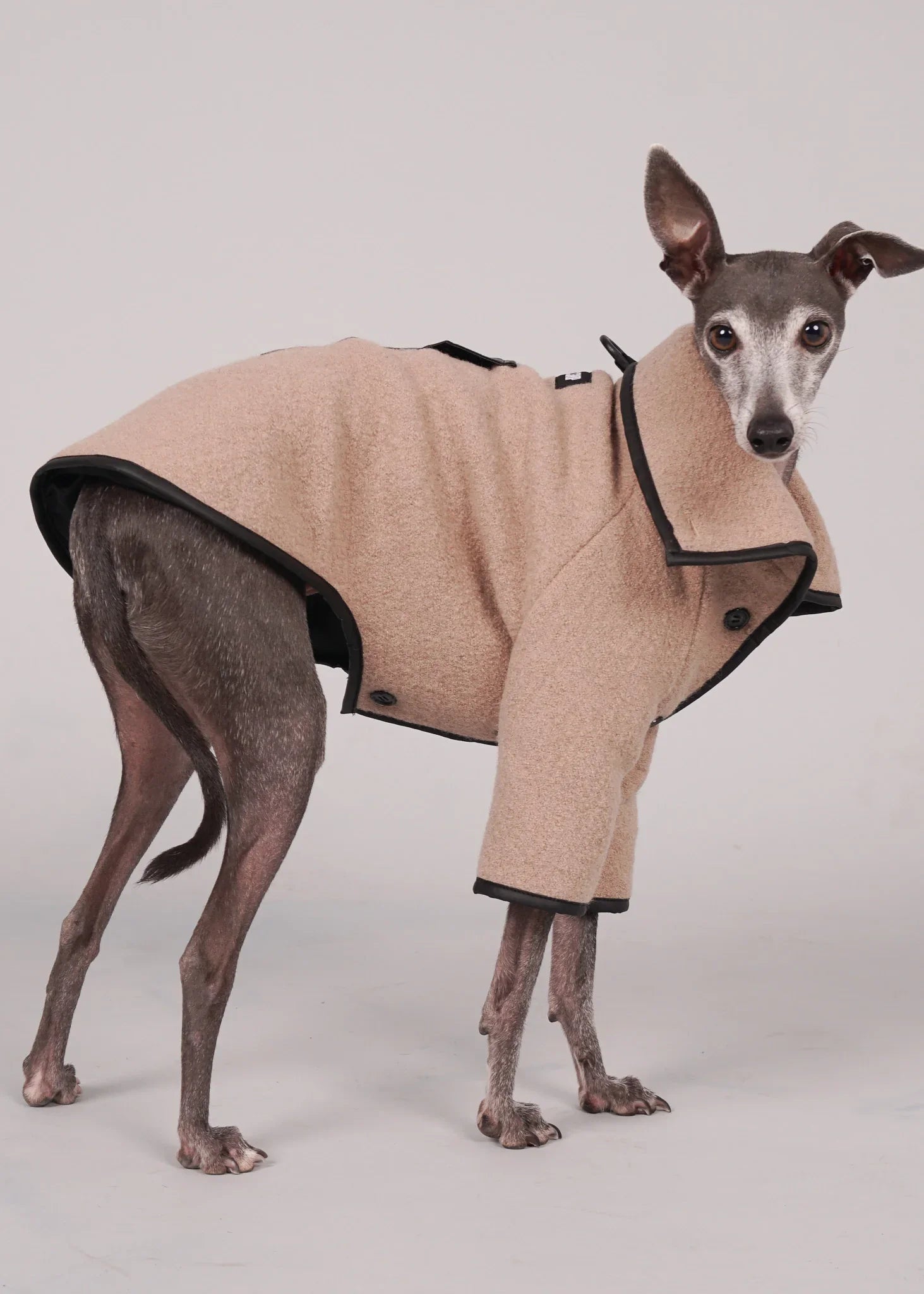 ANELA Leather-Trimmed Wool Dog Coat - BEIGE