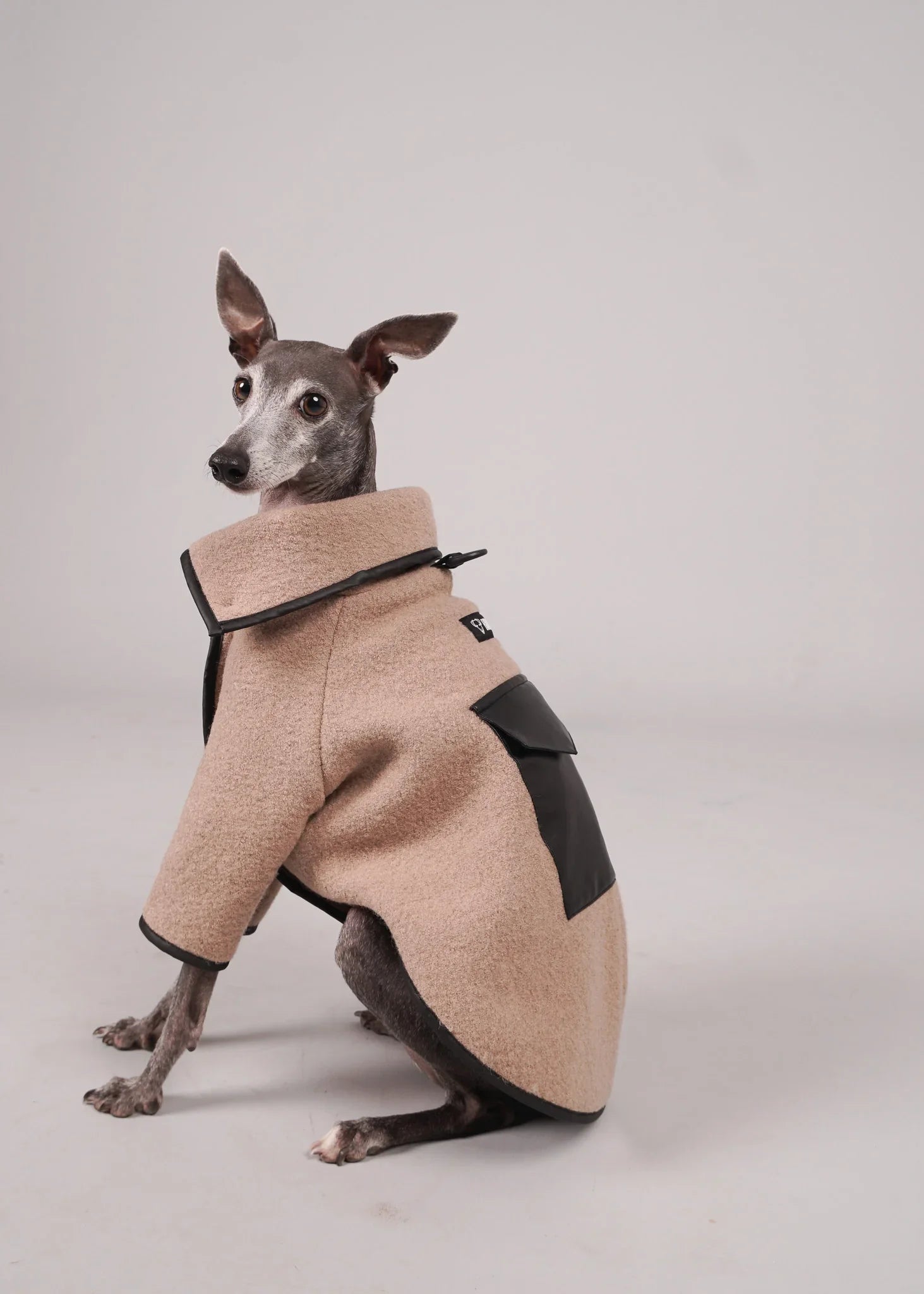 ANELA Leather-Trimmed Wool Dog Coat - BEIGE