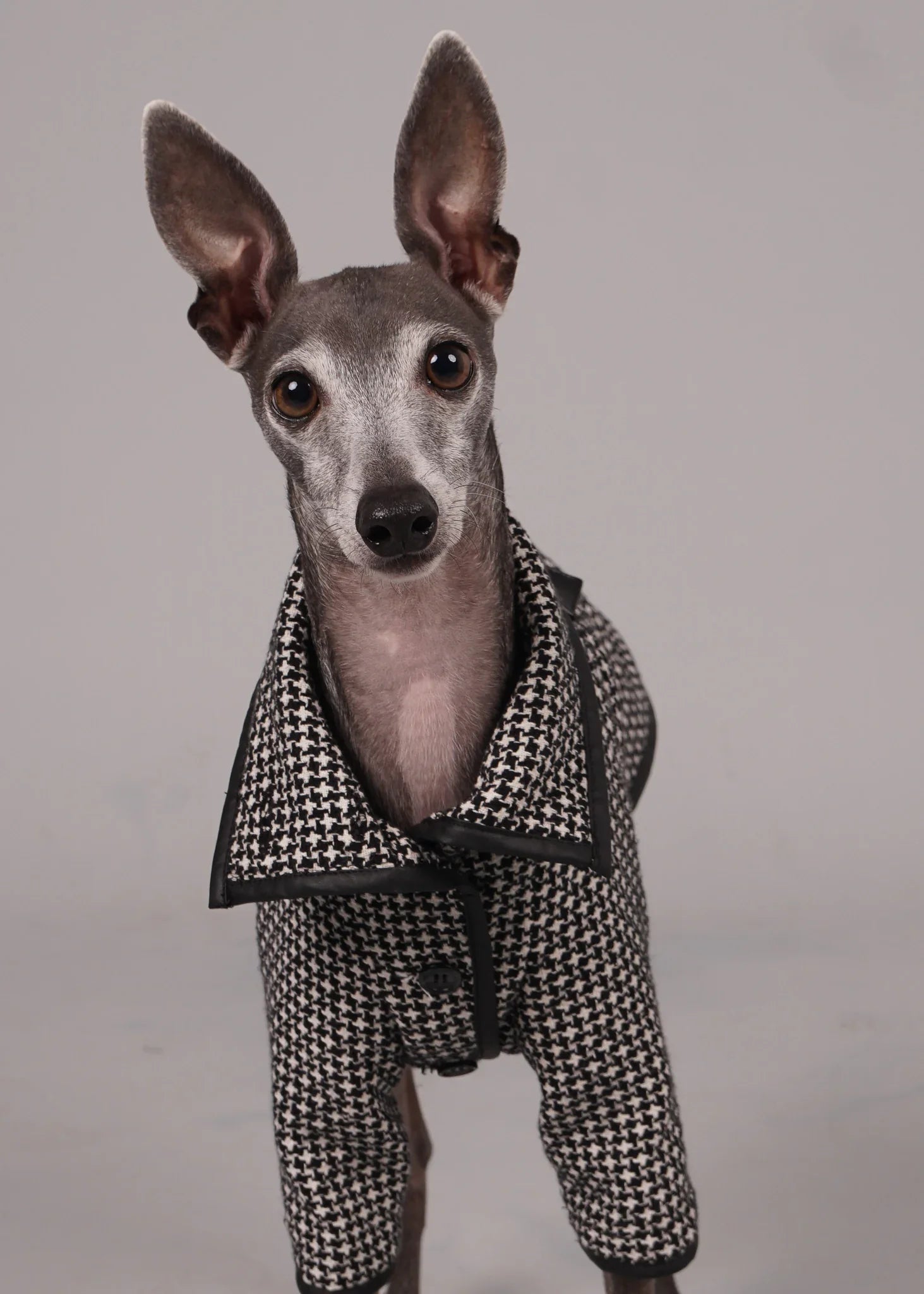 ANELA Leather-Trimmed Wool Dog Coat - HOUNDSTOOTH