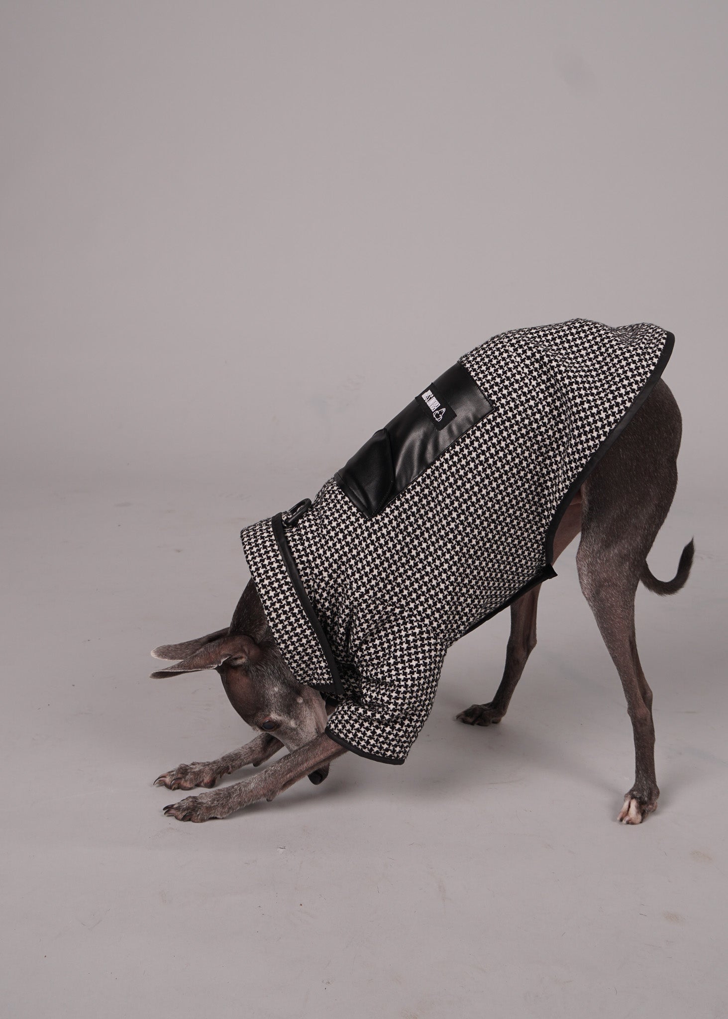 ANELA Leather-Trimmed Wool Dog Coat - HOUNDSTOOTH