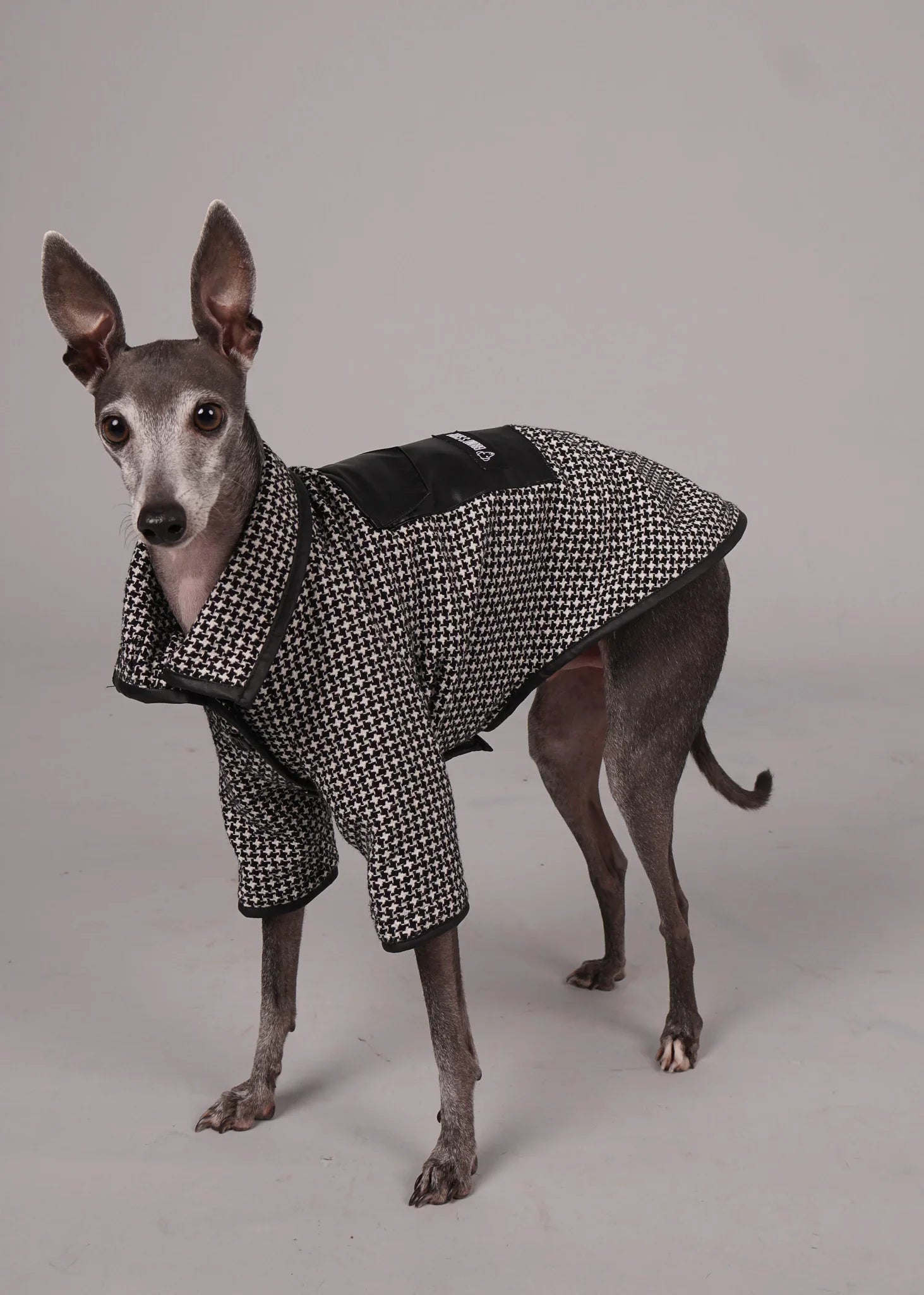 ANELA Leather-Trimmed Wool Dog Coat - HOUNDSTOOTH