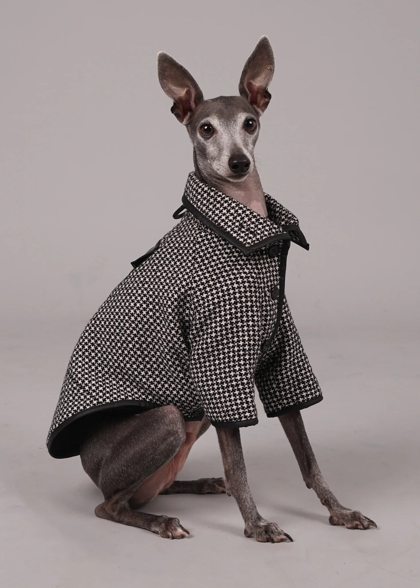 ANELA Leather-Trimmed Wool Dog Coat - HOUNDSTOOTH