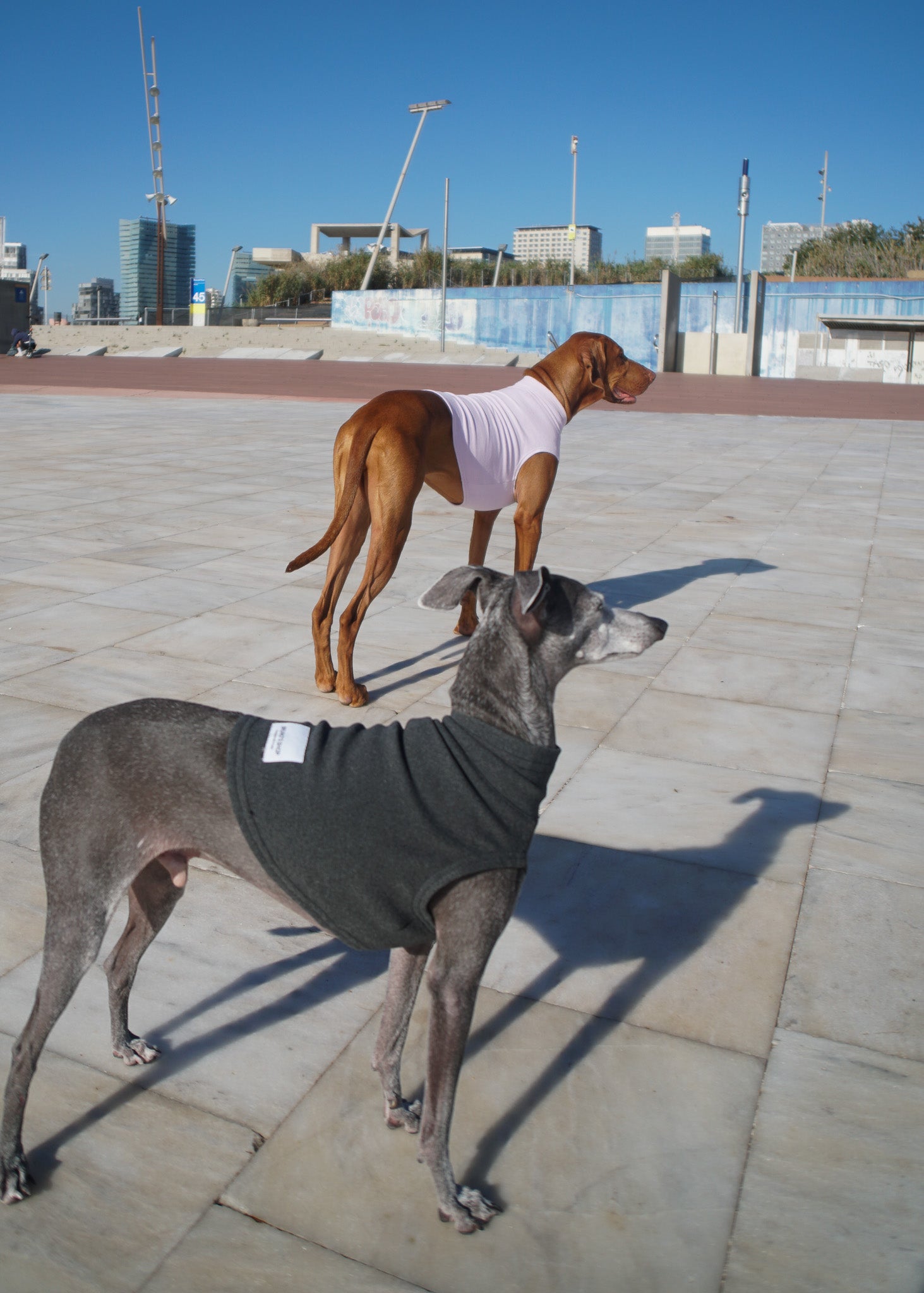 CHASTER Dog Thermal Vest - Ash