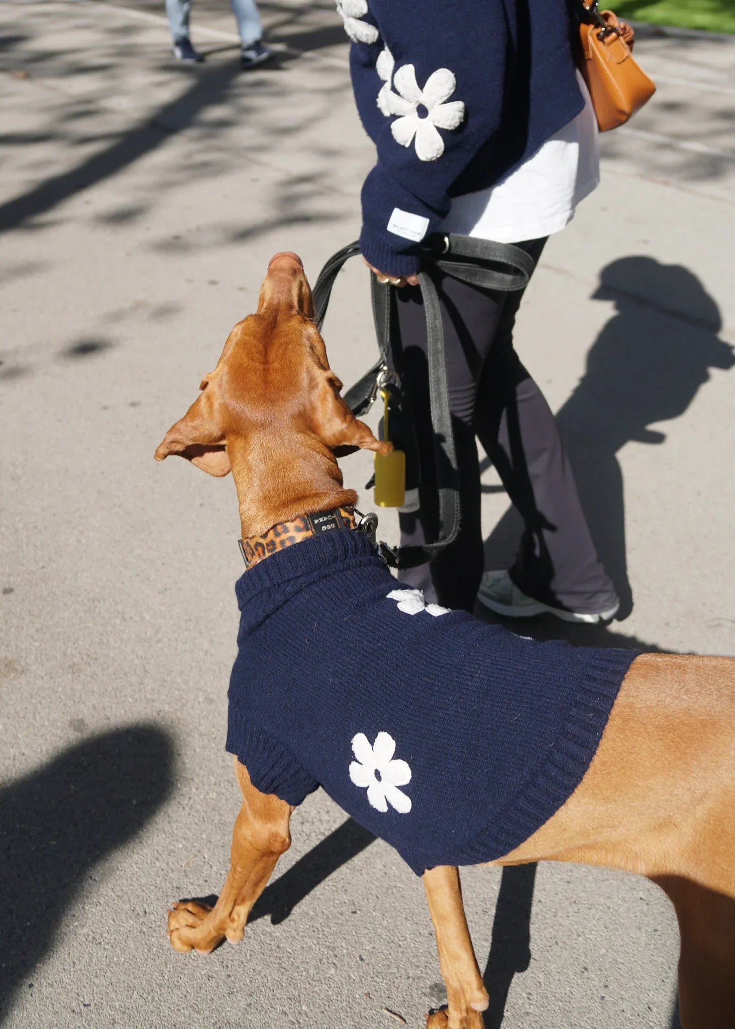 SWEET DAISY Merino Wool Dog Jumper