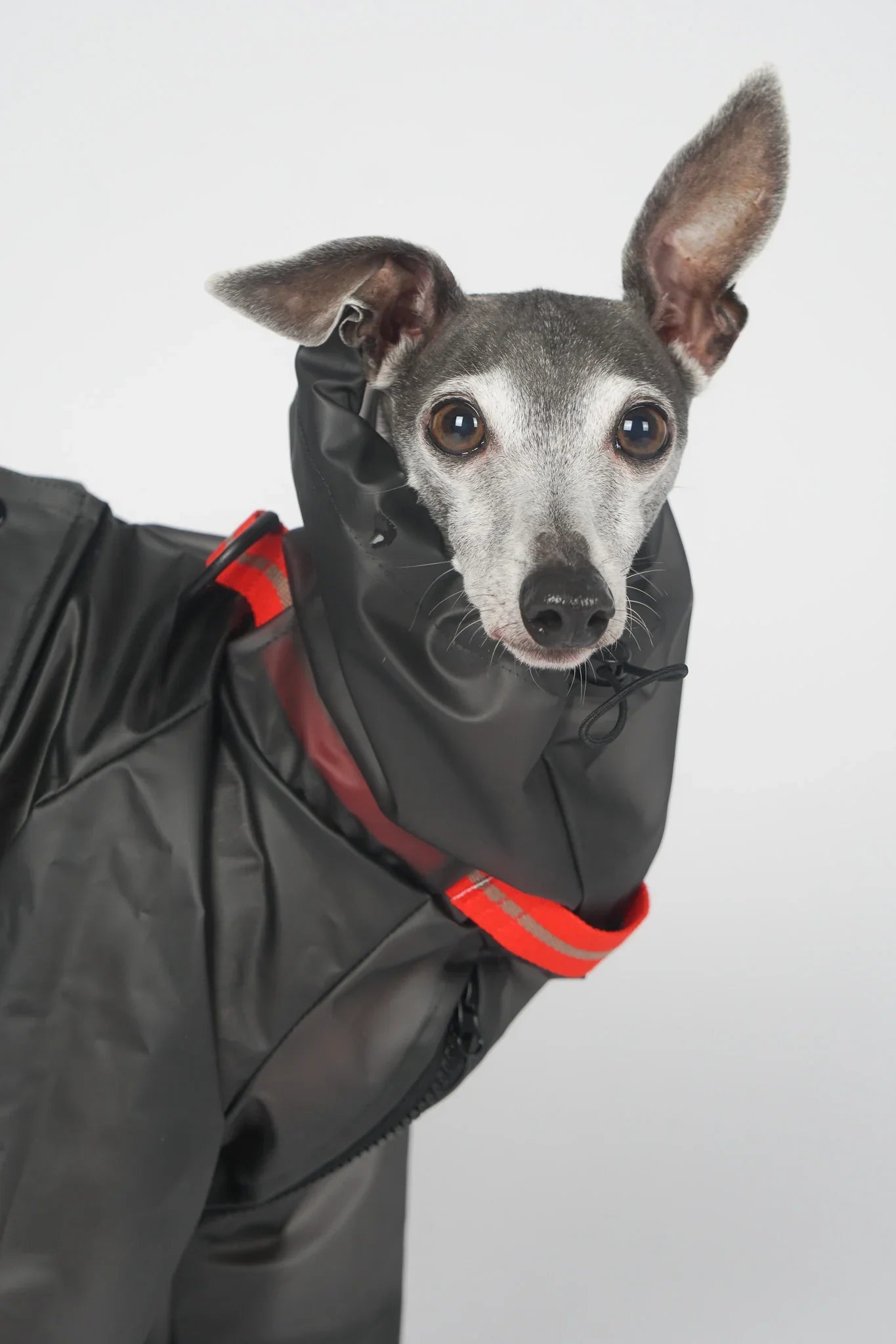 Full-body Dog Raincoat - Black