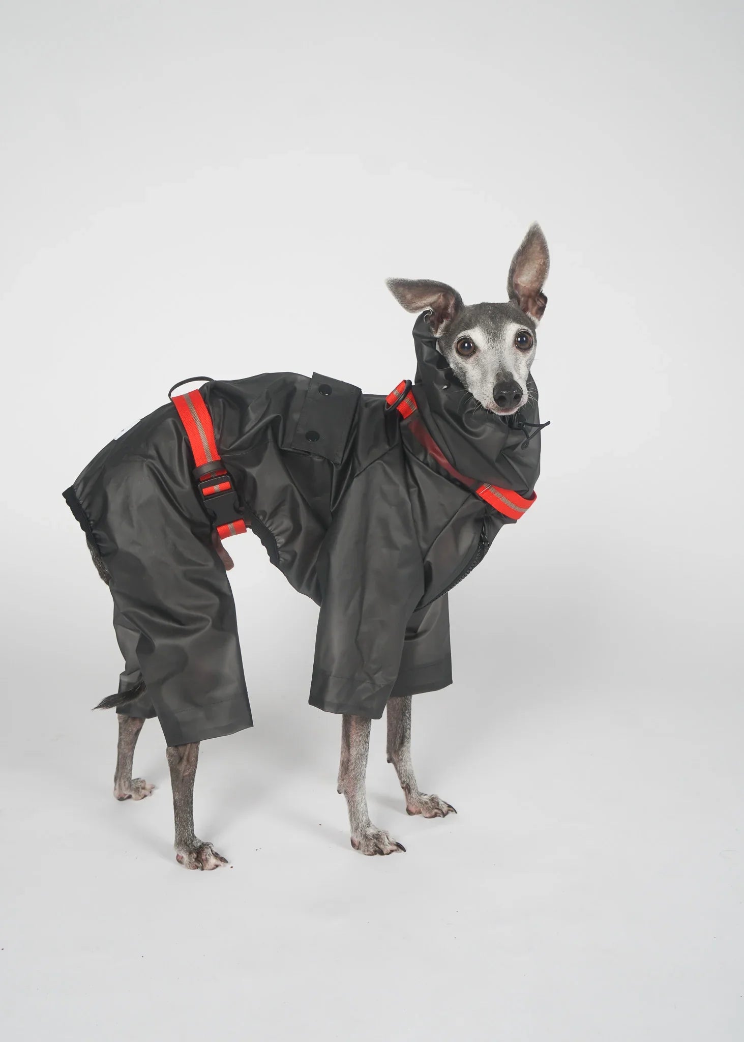 Full-body Dog Raincoat - Black