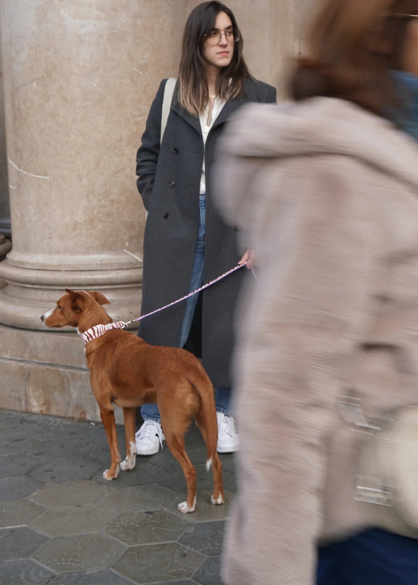 RILEY Zebra Print Leather Dog Leash
