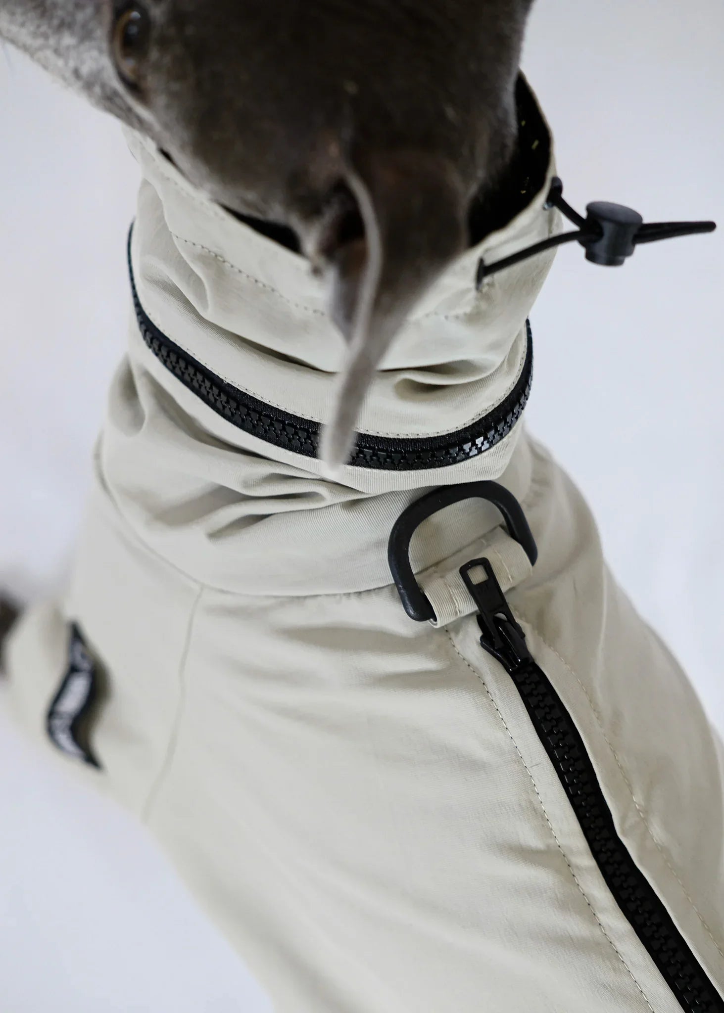 EL CAPITAN Iconic Dog Windbreaker - Beige