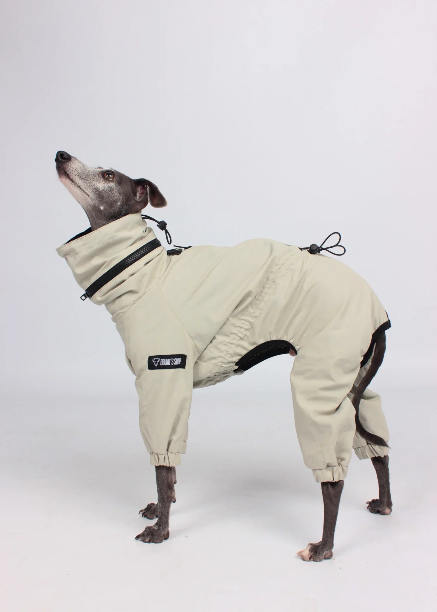 EL CAPITAN Iconic Dog Windbreaker - Beige