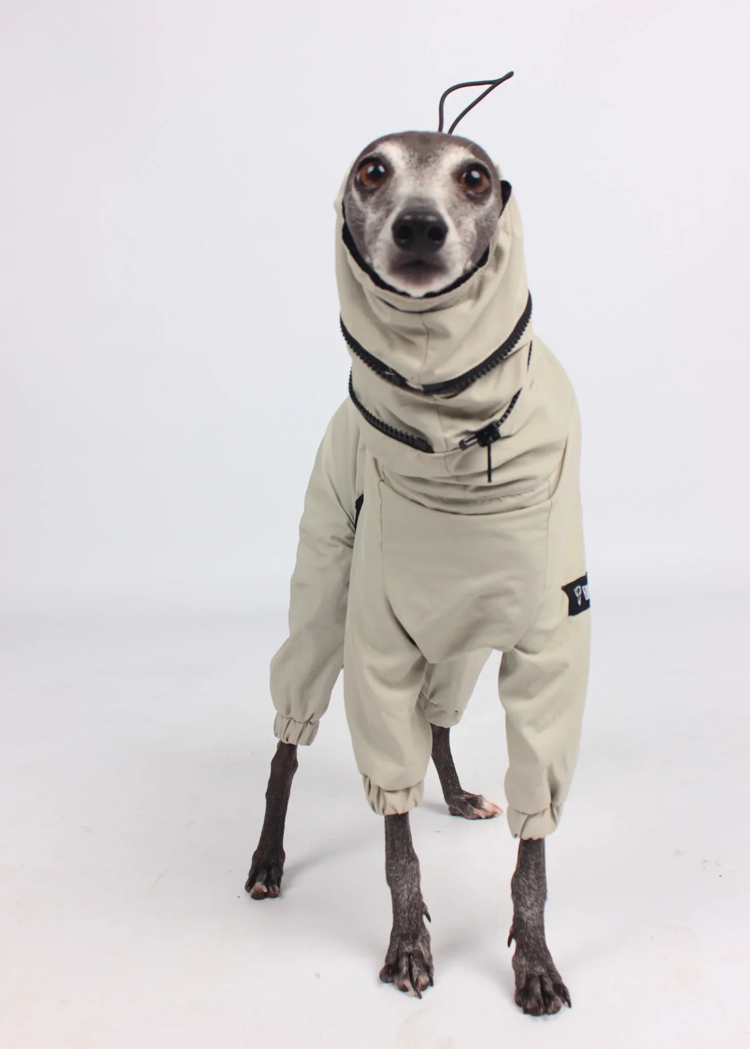 EL CAPITAN Iconic Dog Windbreaker - Beige