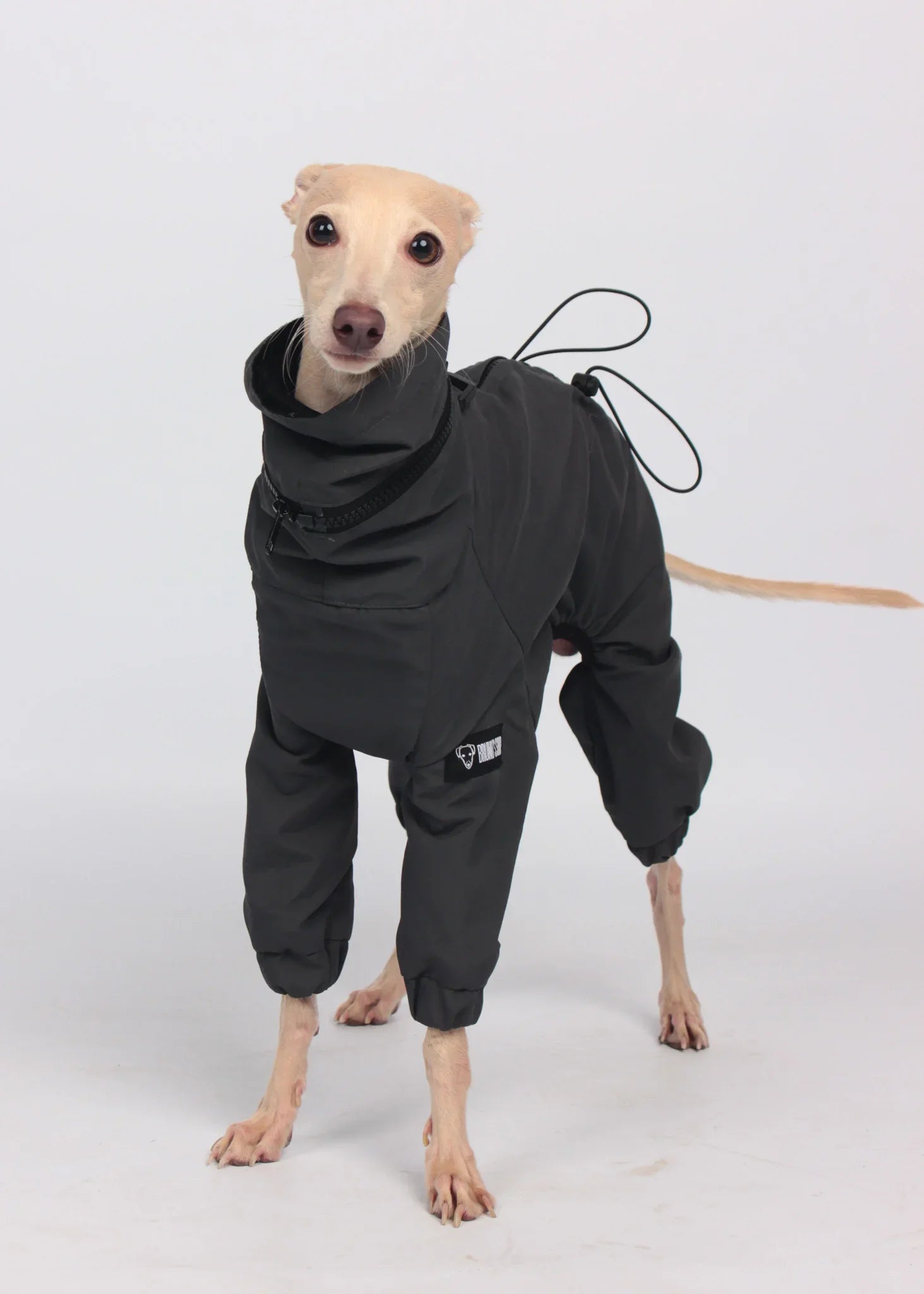 EL CAPITAN Iconic Dog Windbreaker - ANTHRACITE