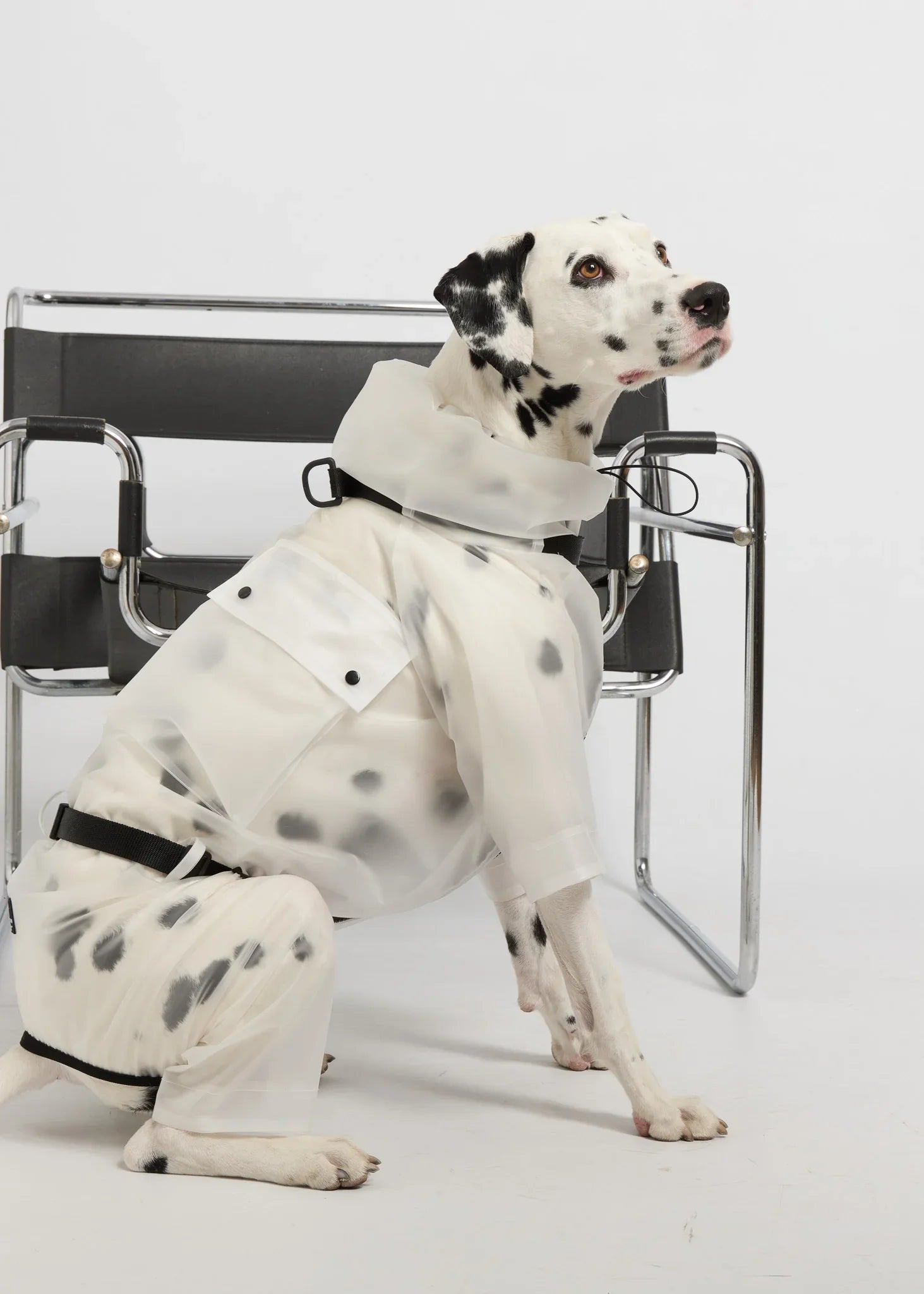 Full-body Dog Raincoat - White