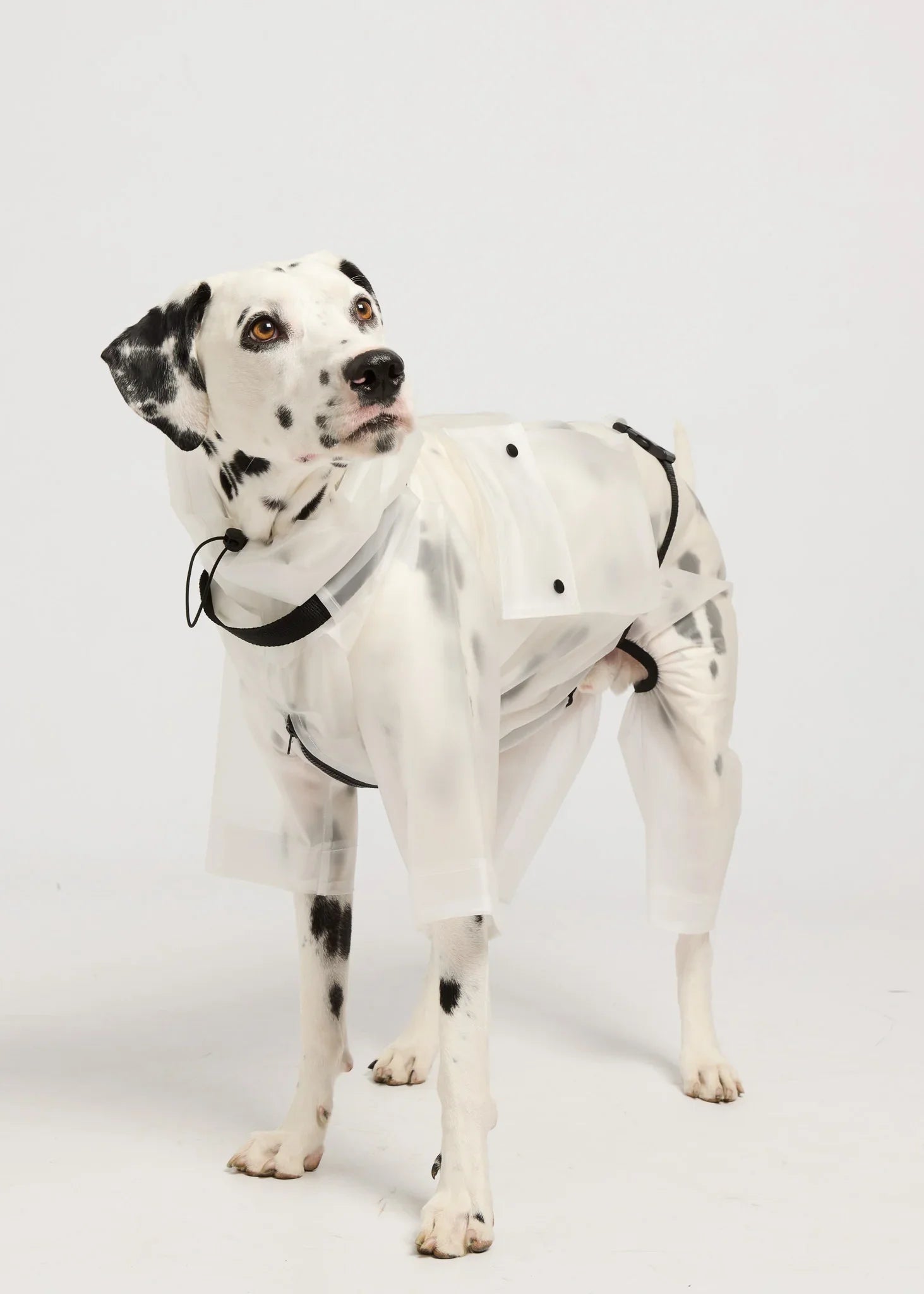 Full-body Dog Raincoat - White