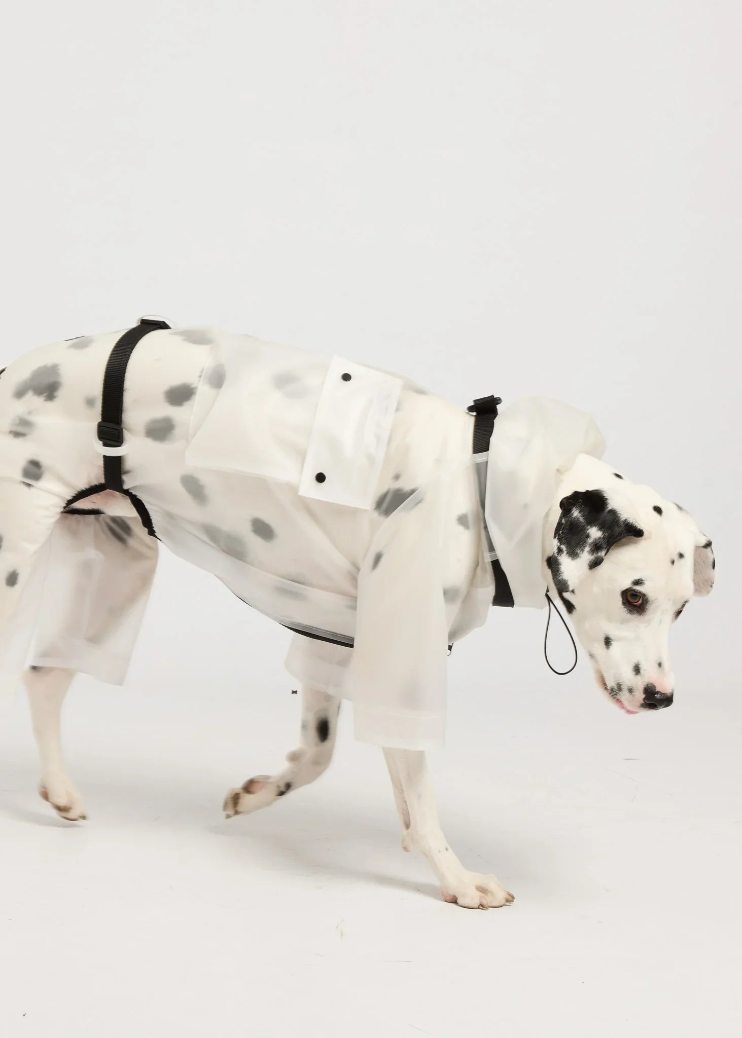 Full-body Dog Raincoat - White