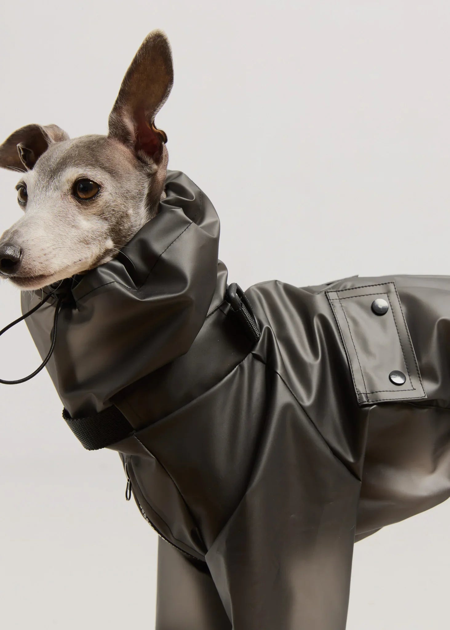 Full-body Dog Raincoat - Black