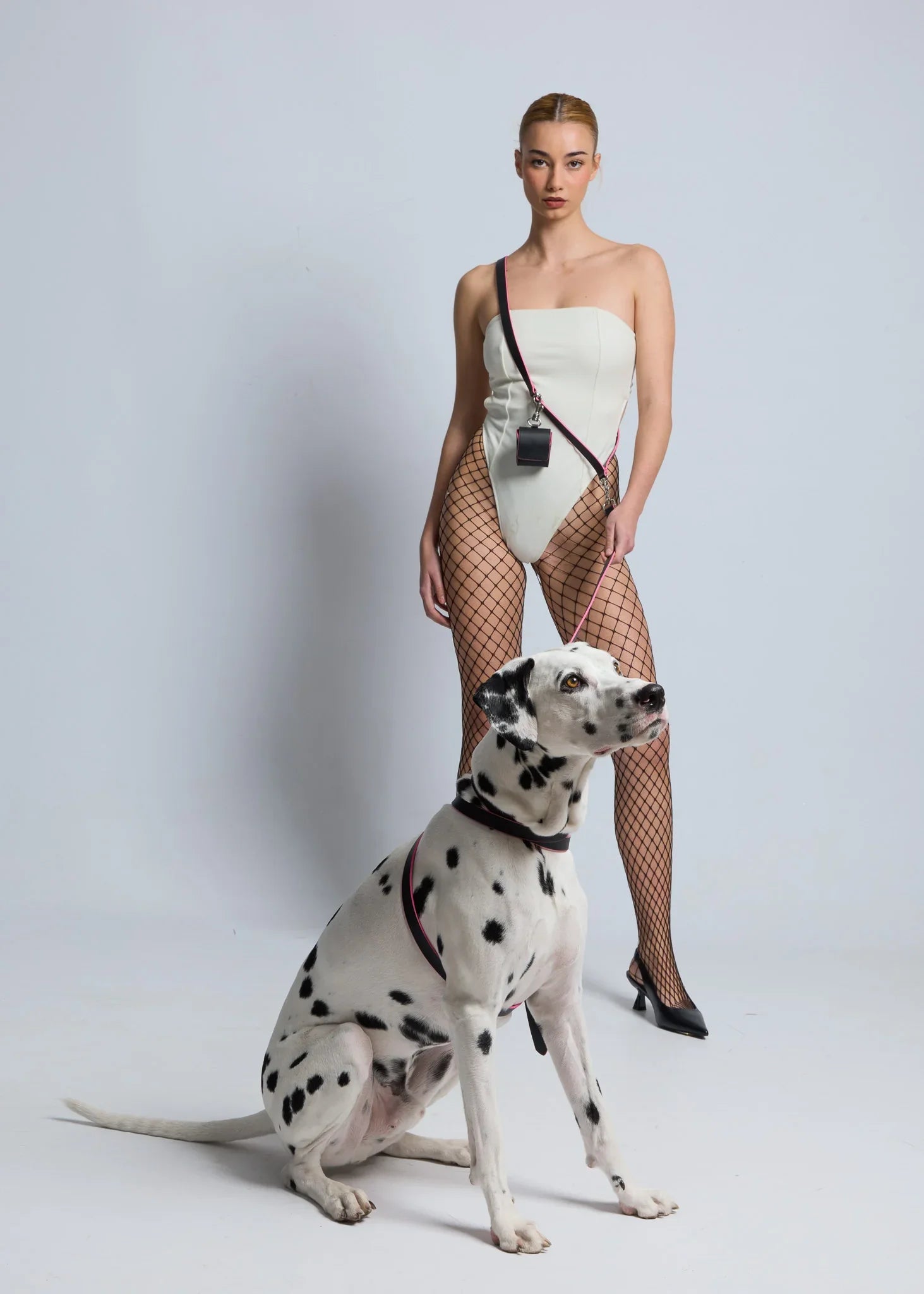 MILO Dog Harness Full Set