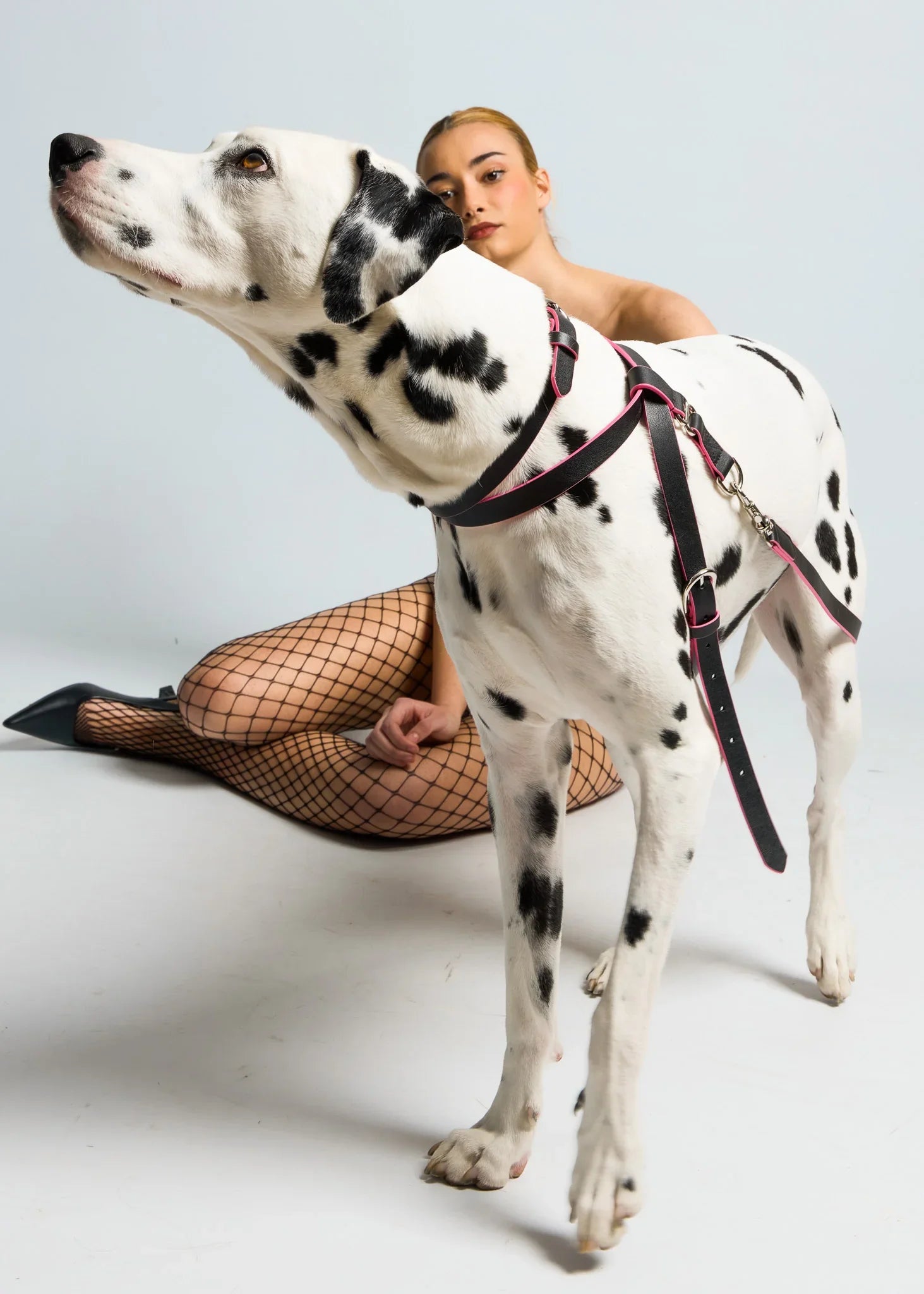 MILO Dog Harness with Raspberry Trim