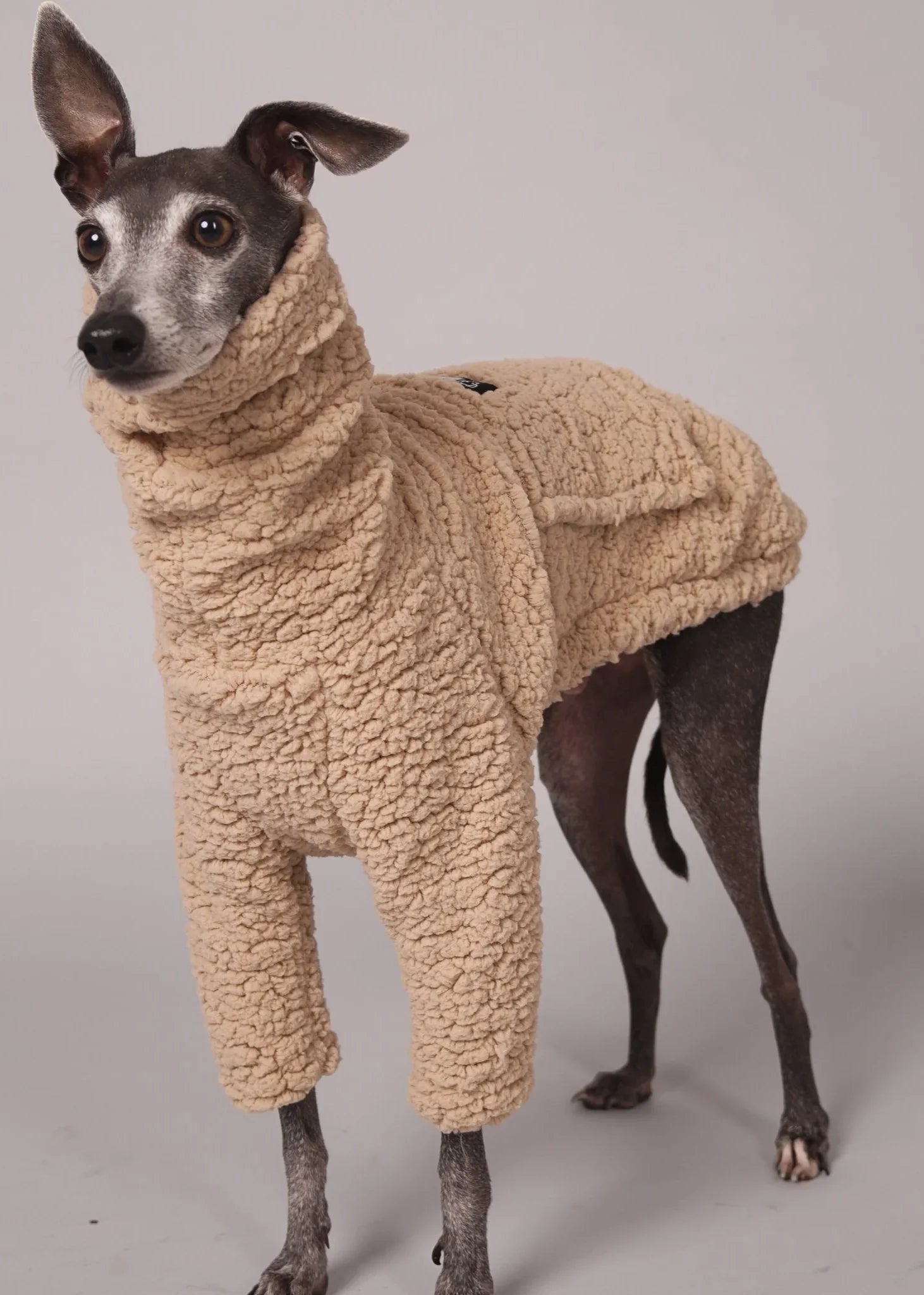 KANGAROO Dog Teddy Jumper