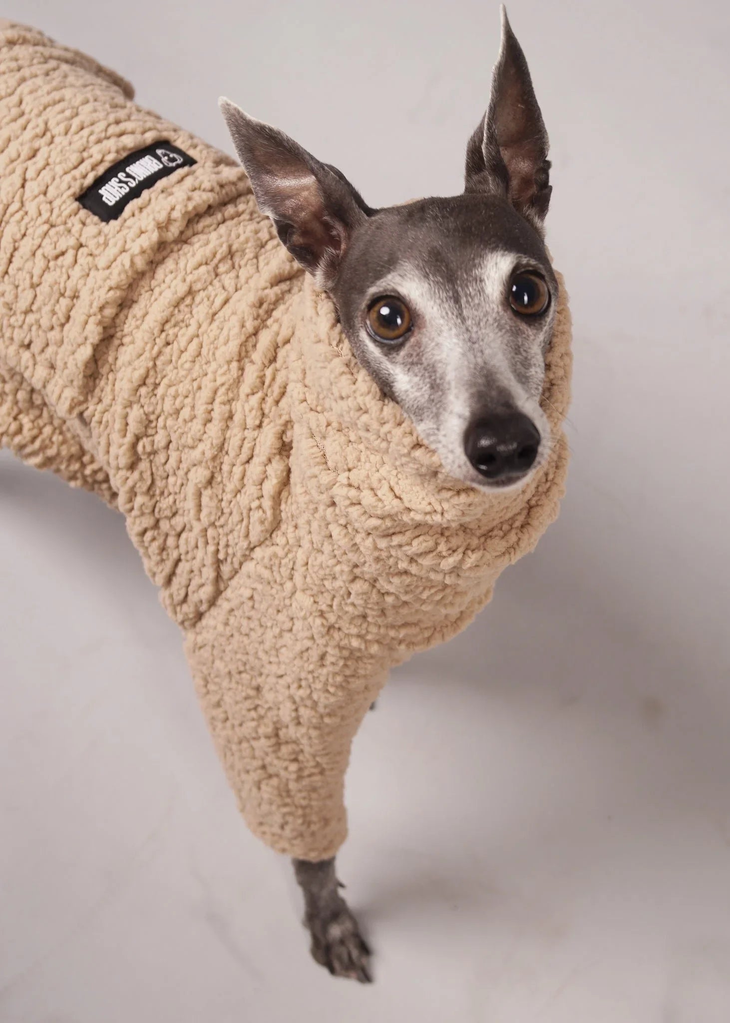 KANGAROO Dog Teddy Jumper