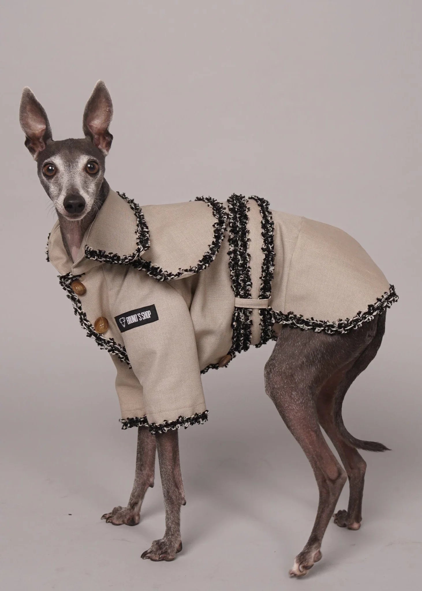 CHLOE Tailor-Made Dog Trench Coat With Braiding Trim