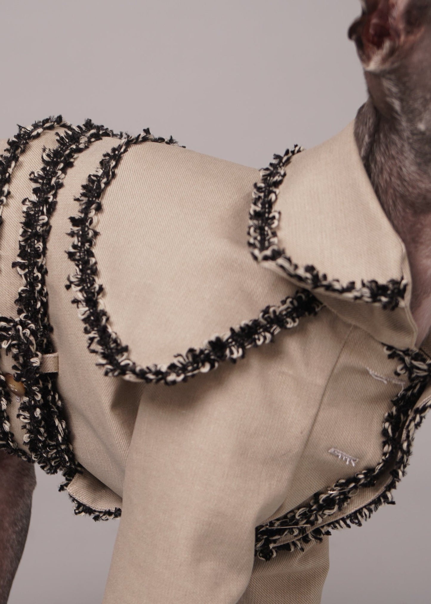CHLOE trench coat with braiding trim