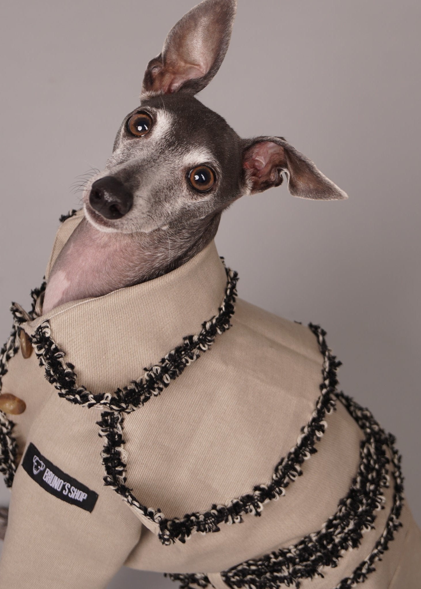 CHLOE Tailor-Made Dog Trench Coat With Braiding Trim