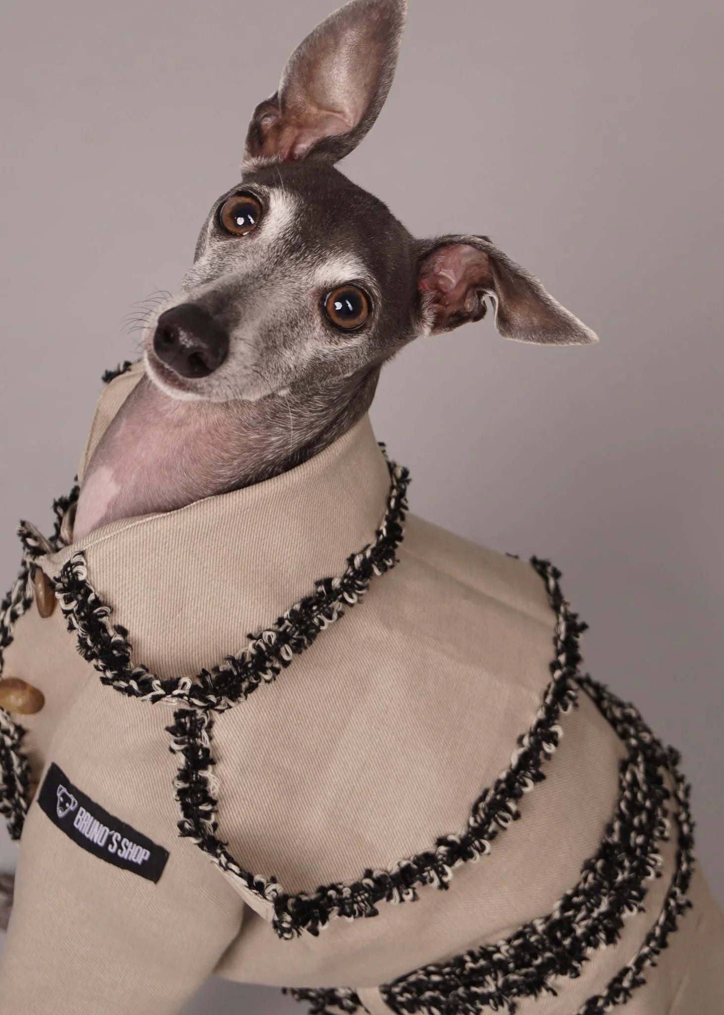 CHLOE Tailor-Made Dog Trench Coat With Braiding Trim