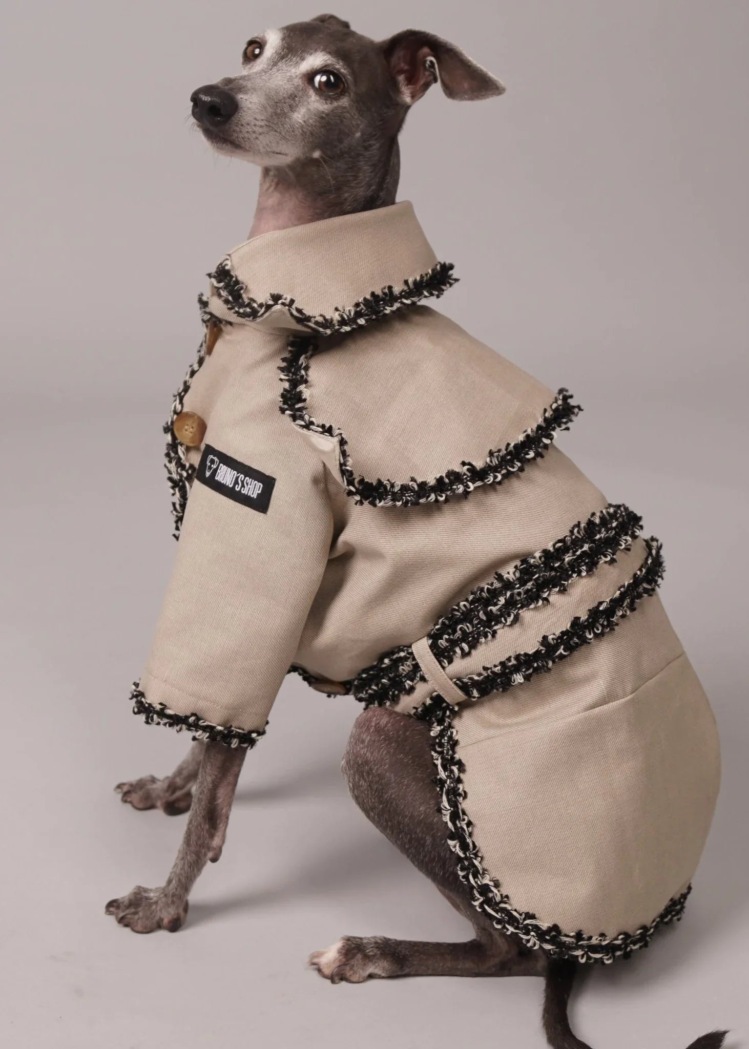 CHLOE Tailor-Made Dog Trench Coat With Braiding Trim
