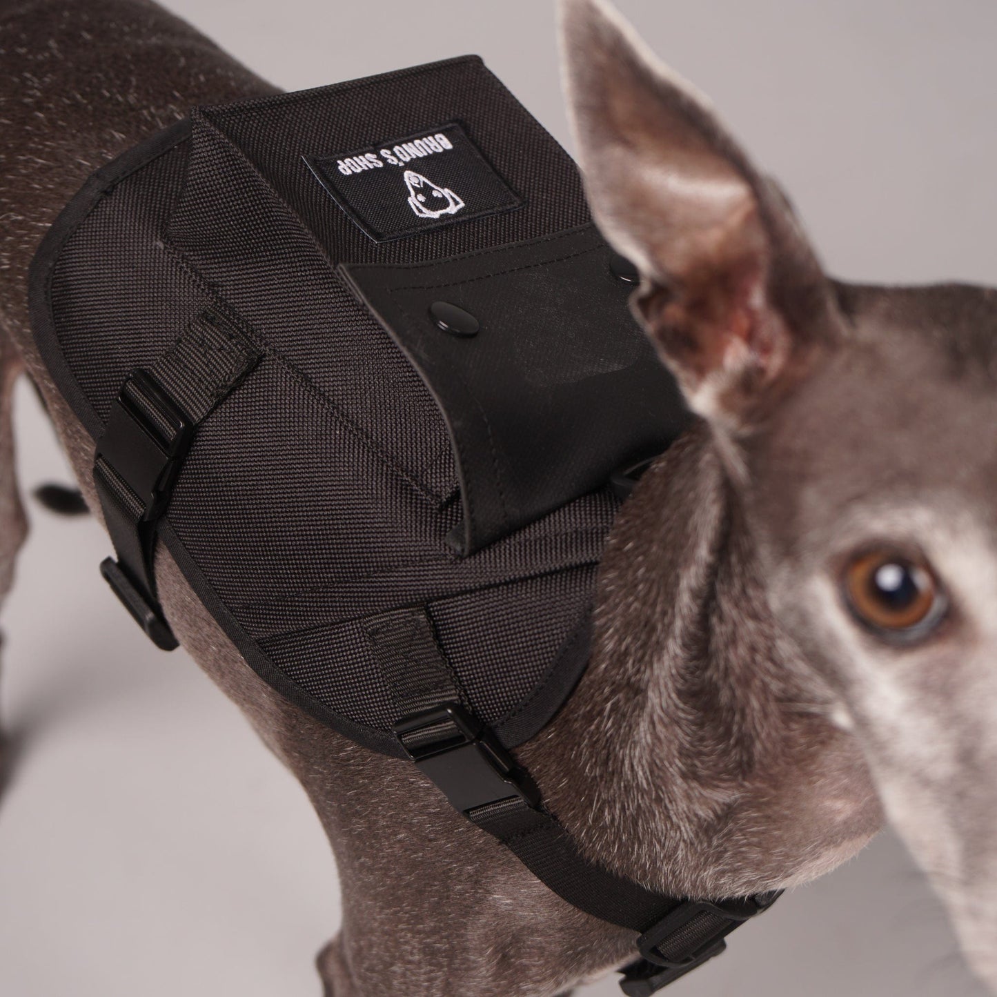 dog harness, dog backpack