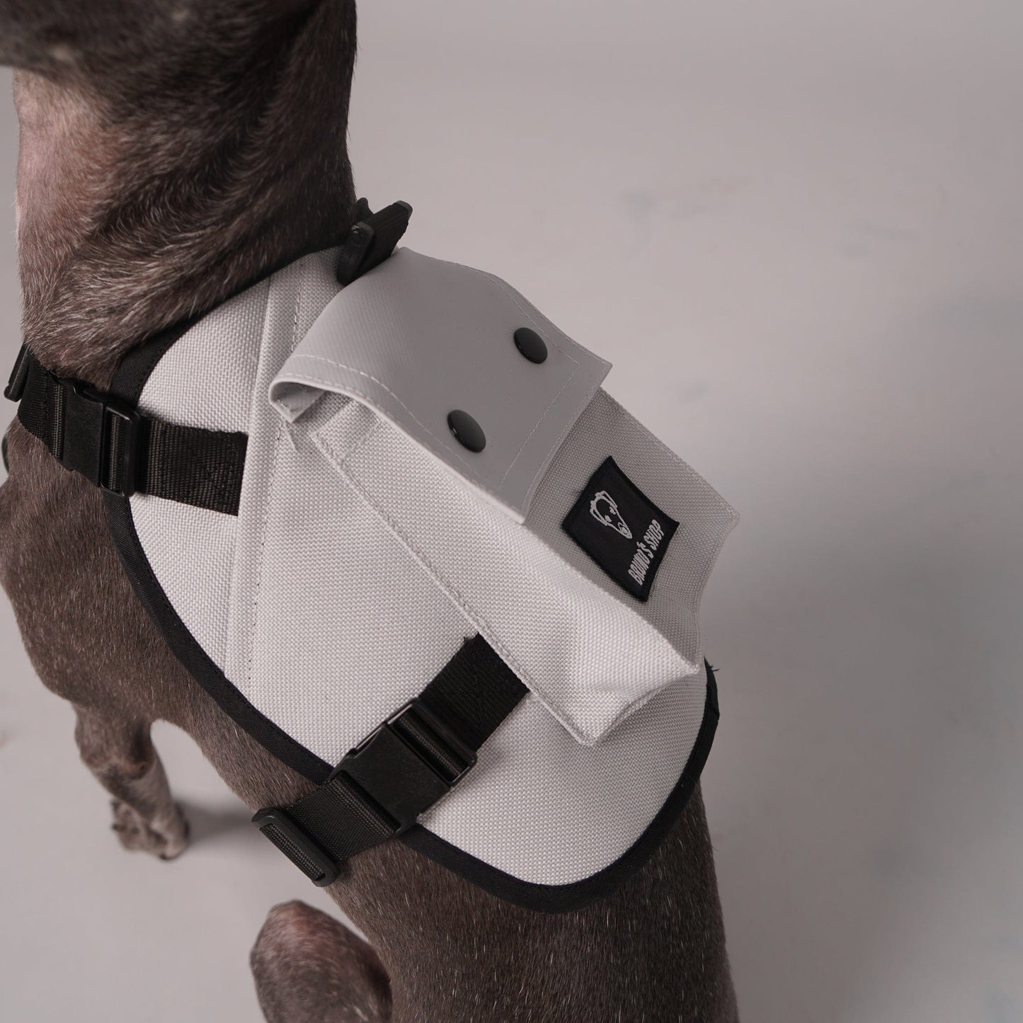 dog harness, dog backpack
