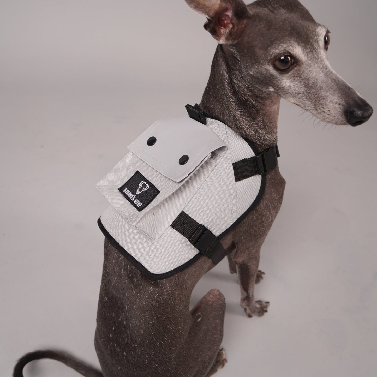 dog harness, dog backpack
