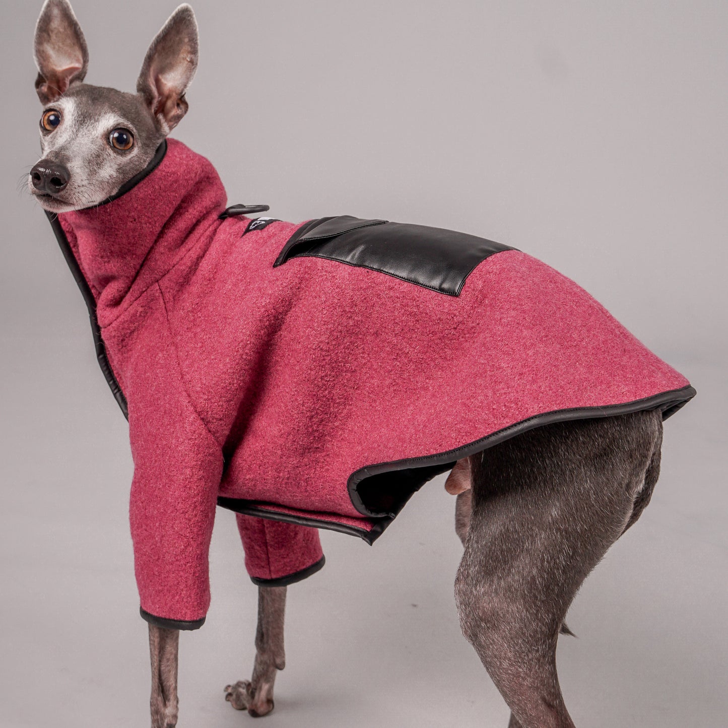 dog coat, dog wool coat, dog apparel, italian greyhound clothes, whippet clothes