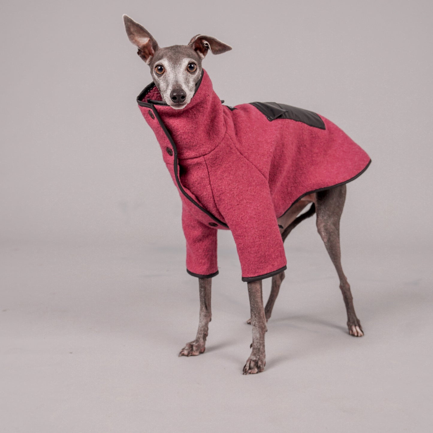 dog coat, dog wool coat, dog apparel, italian greyhound clothes, whippet clothes